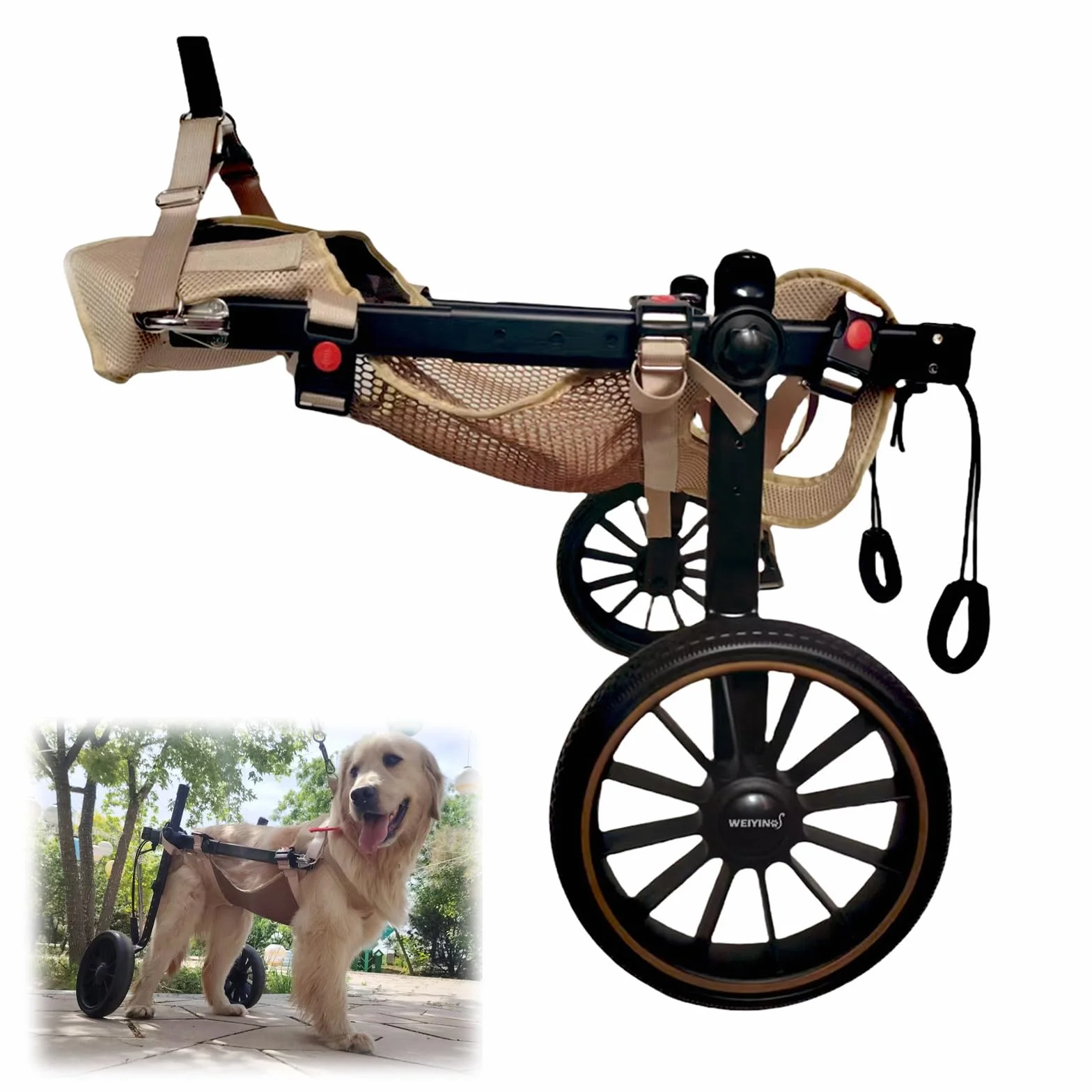 Sedia a Rotelle per Cani Zampe Posteriori 2 Ruote Tutore Deambulazione Disabili XXL Blu Camminare Zampa Anteriore Ferita Paralizzata