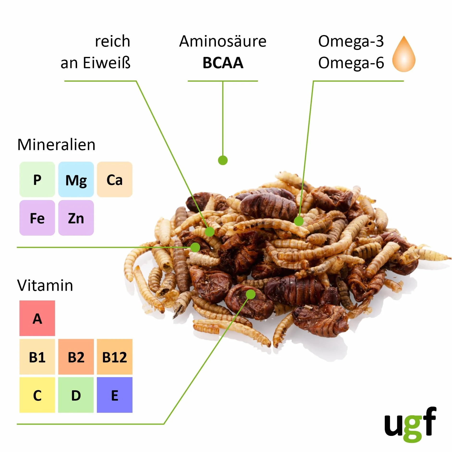 UGF Mix di insetti 80 g 500 ml cibo per ricci, gerbilli, criceti, ratti, lucertole - vermi della farina, larve di mosca soldato nera, bachi da seta