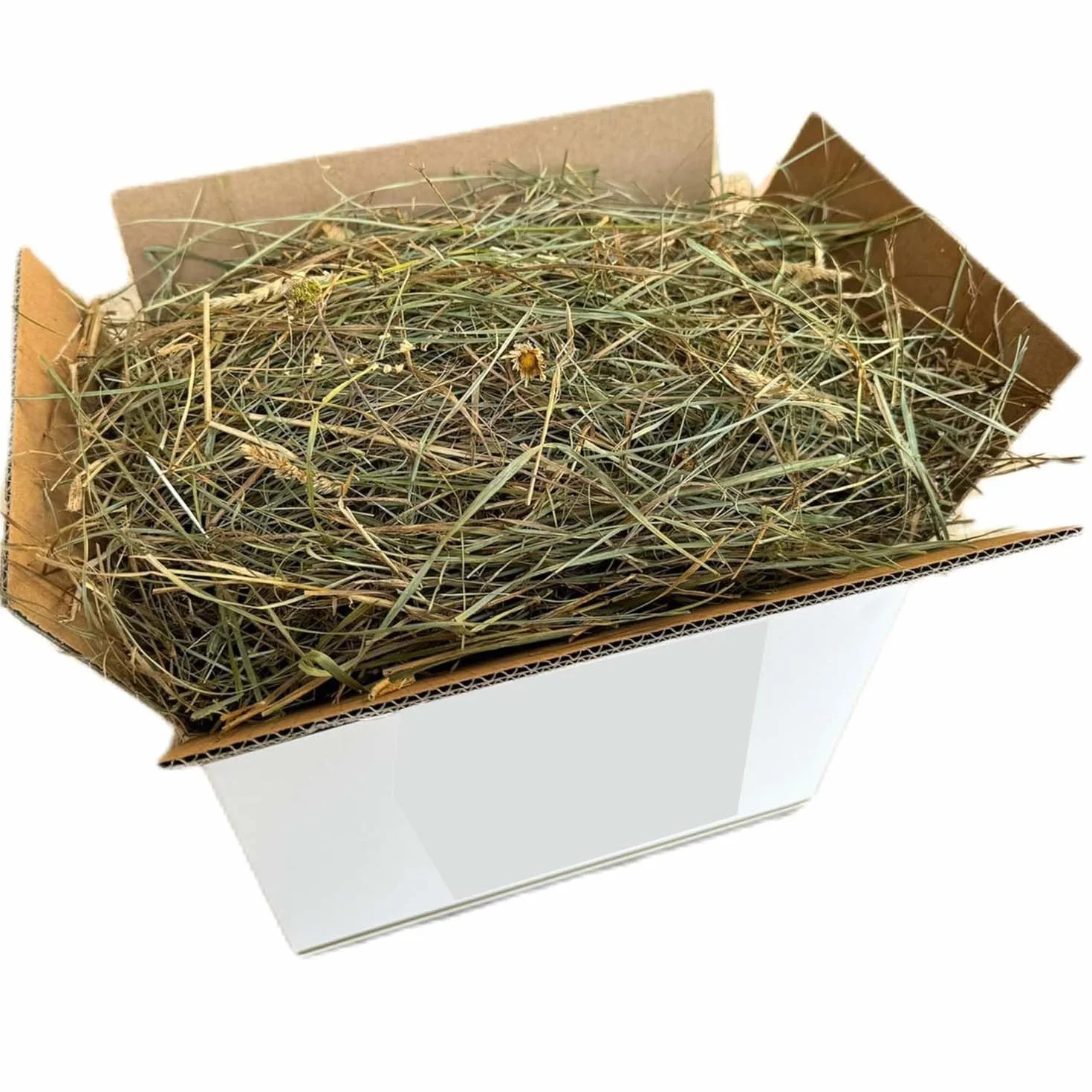 Fieno Naturale per Conigli 1 Kg | Balla di Fieno Italiano di Prato di Montagna Essiccato al Sole | Alimento per Porcellini d’India, Cincillà, Conigli Nani, Cavalli, Polli e Roditori