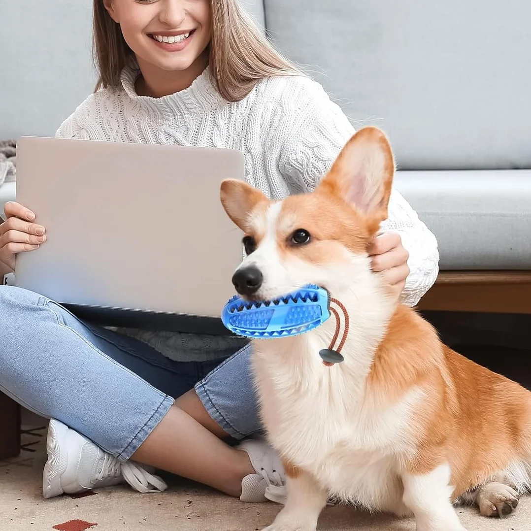 Gioco Cani, Gioco di intelligenza, Giocattoli da Masticare per Cani Giocattoli, Bastoncino per La Pulizia dei Denti in Gomma Resistente, Ideale per la pulizia dei denti e cani di tutte le taglie
