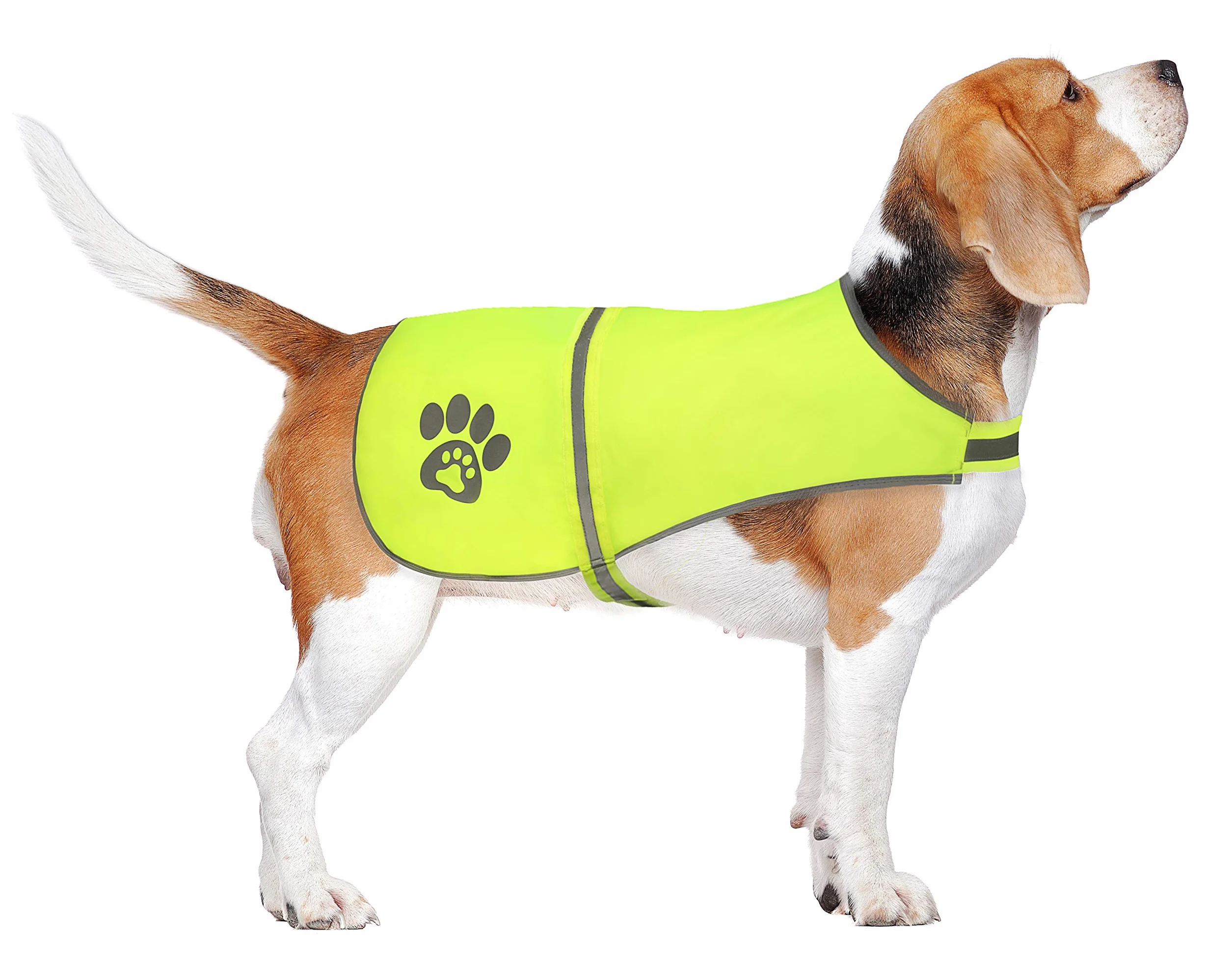 Gilet per Cani, Gilet da Caccia, Giacca per Cani Riflettente di Sicurezza, Gilè di Alta Visibilit, Sicurezza da Cacciatori, Auto e Altri (Giallo Neon, S)