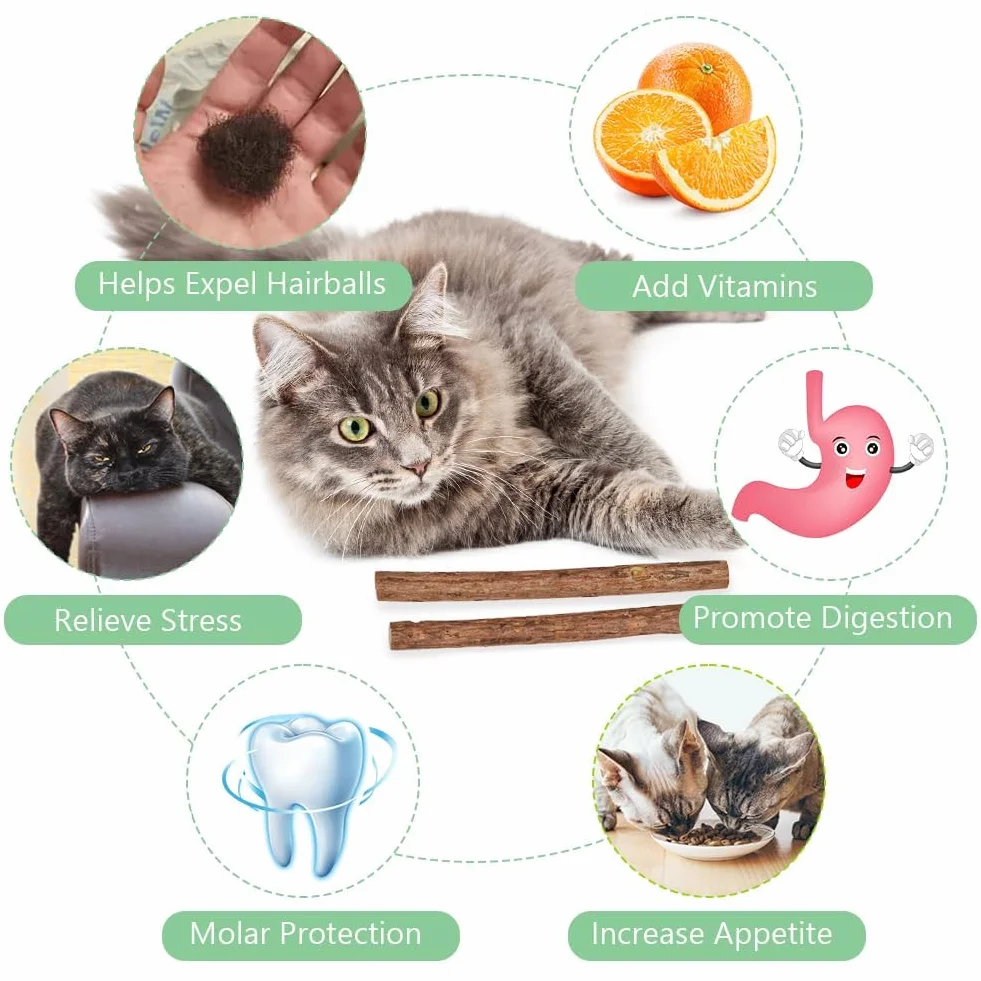 20 Pezzi Bastoncino di Erba per Gatti Naturali, Gatto Giocattoli Matatabi Erba