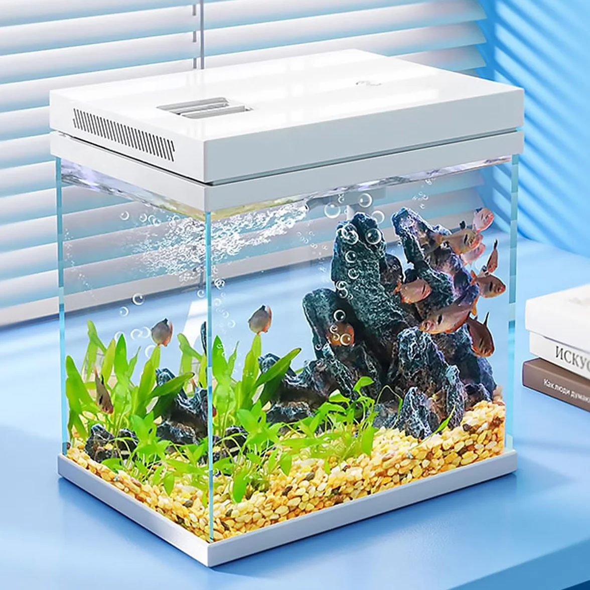 Acquario in vetro nano da 10 l per pesci - Con sistema di luce e filtro - Modello impermeabile e senza detersivo (10 l)