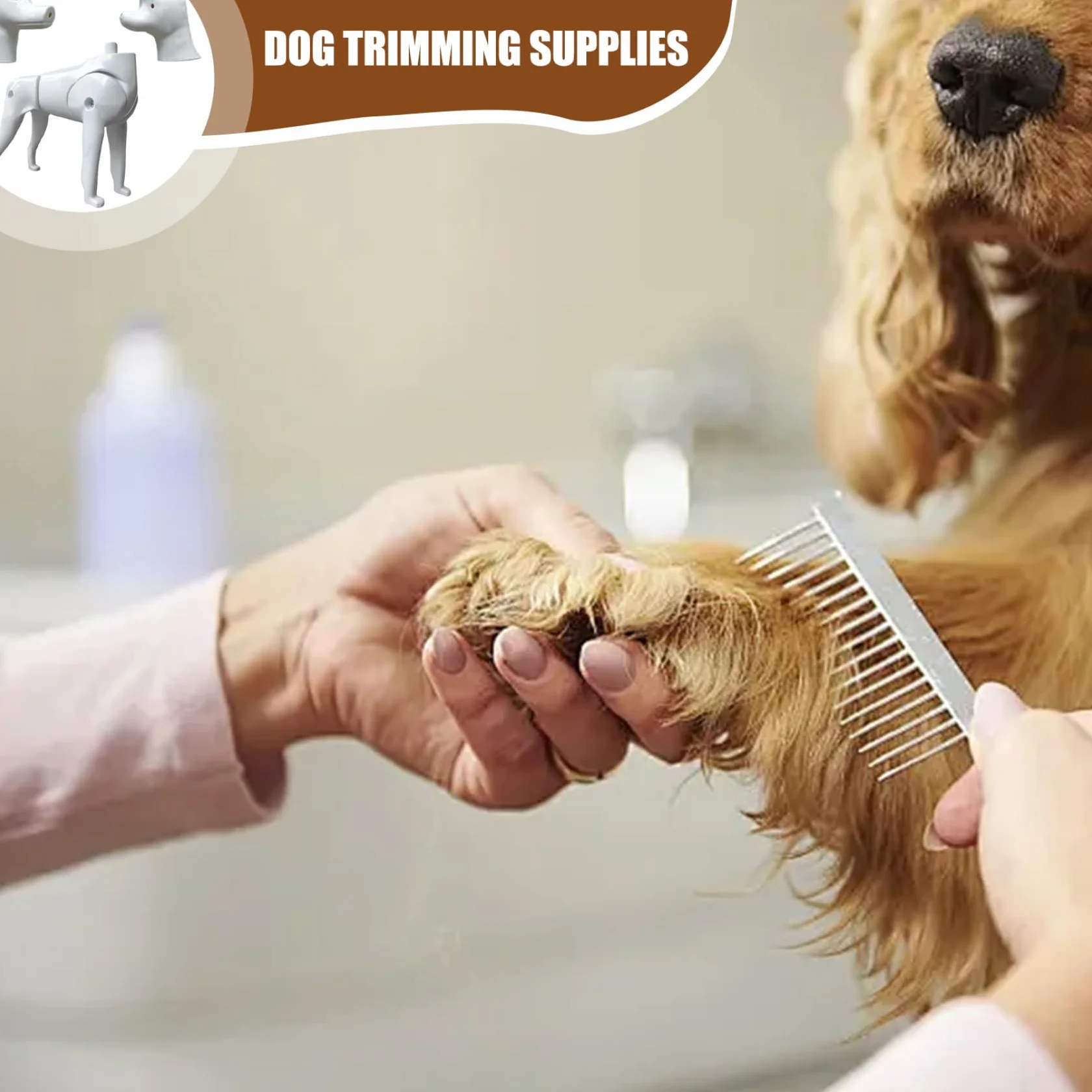 Modello per cani Mannequin, 2 in 1 Pomeranian & Poodle Dog Model, strumento di pratica di toelettatura per l'addestramento del toelettatore