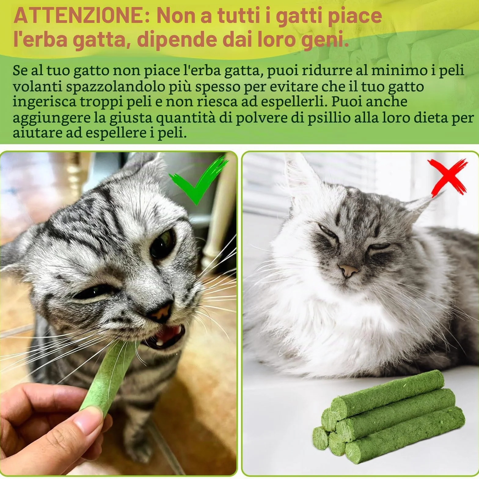 30g Bastoncini di Erba Gatta Liofilizzato, Snack per Gatti Erba Gatta per Gatti Pronta per Elimina Boli di Pelo e Pulizia dei Denti