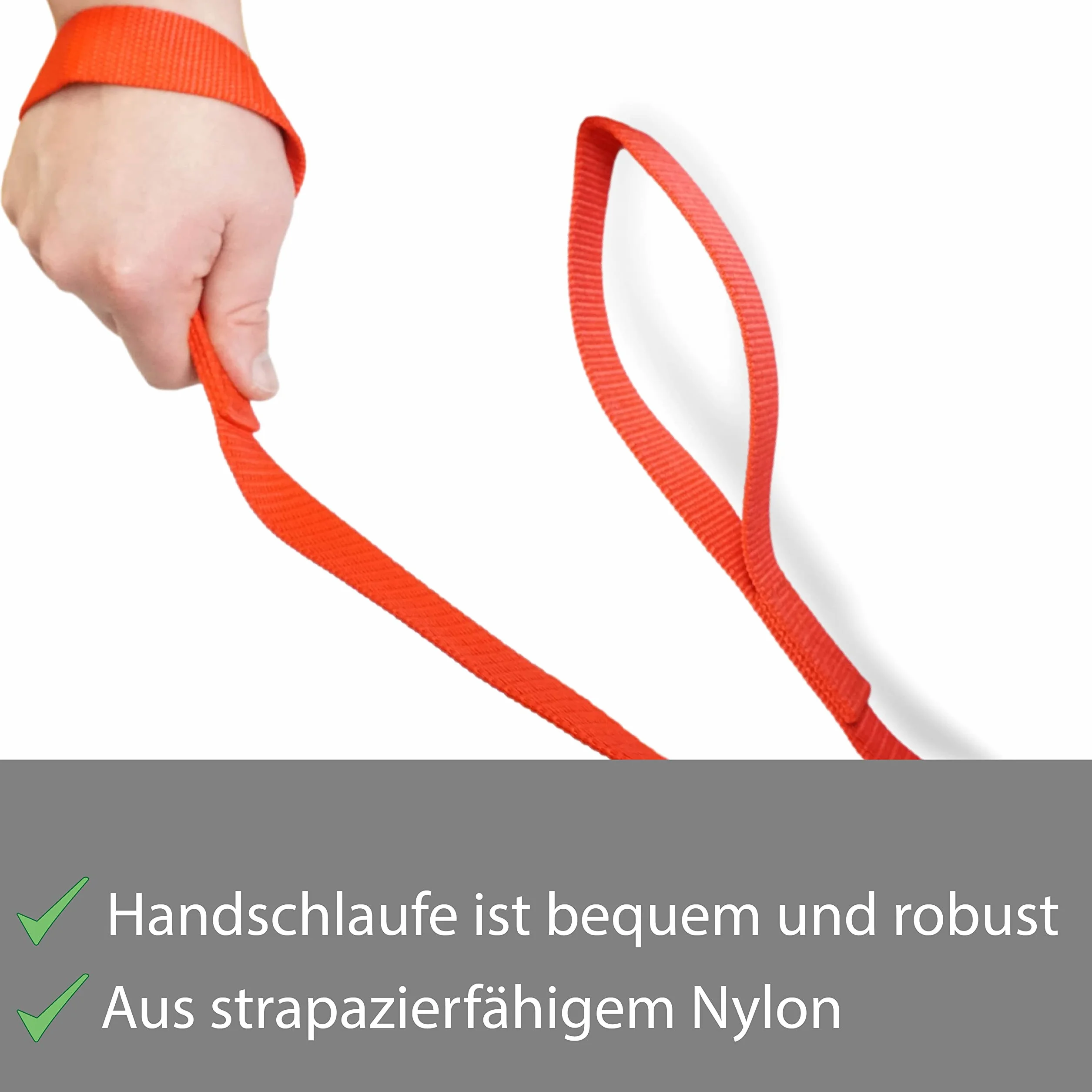 Catena di guida per cavalli | guida sicura con catena di ferro e manico in nylon | Guinzaglio adatto per stalloni cani pony asini | Lunghezza 2,10 m (rosso)