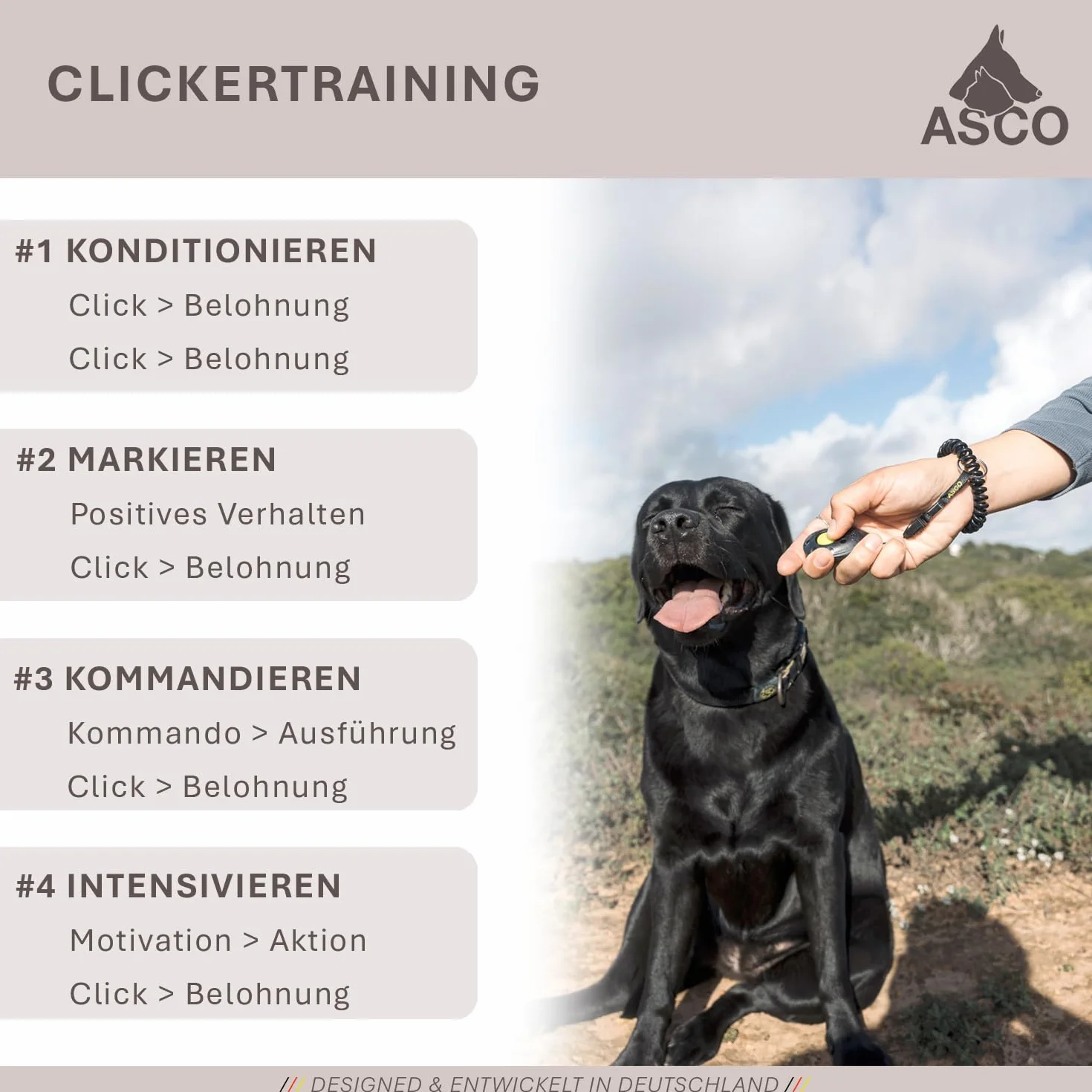 ASCO Clicker da Dito Premium con Bracciale a Spirale per clicker Training, clicker Professionale per Cani, Gatti e Cavalli, clicker per addestramento Cani, Nero AC01FS