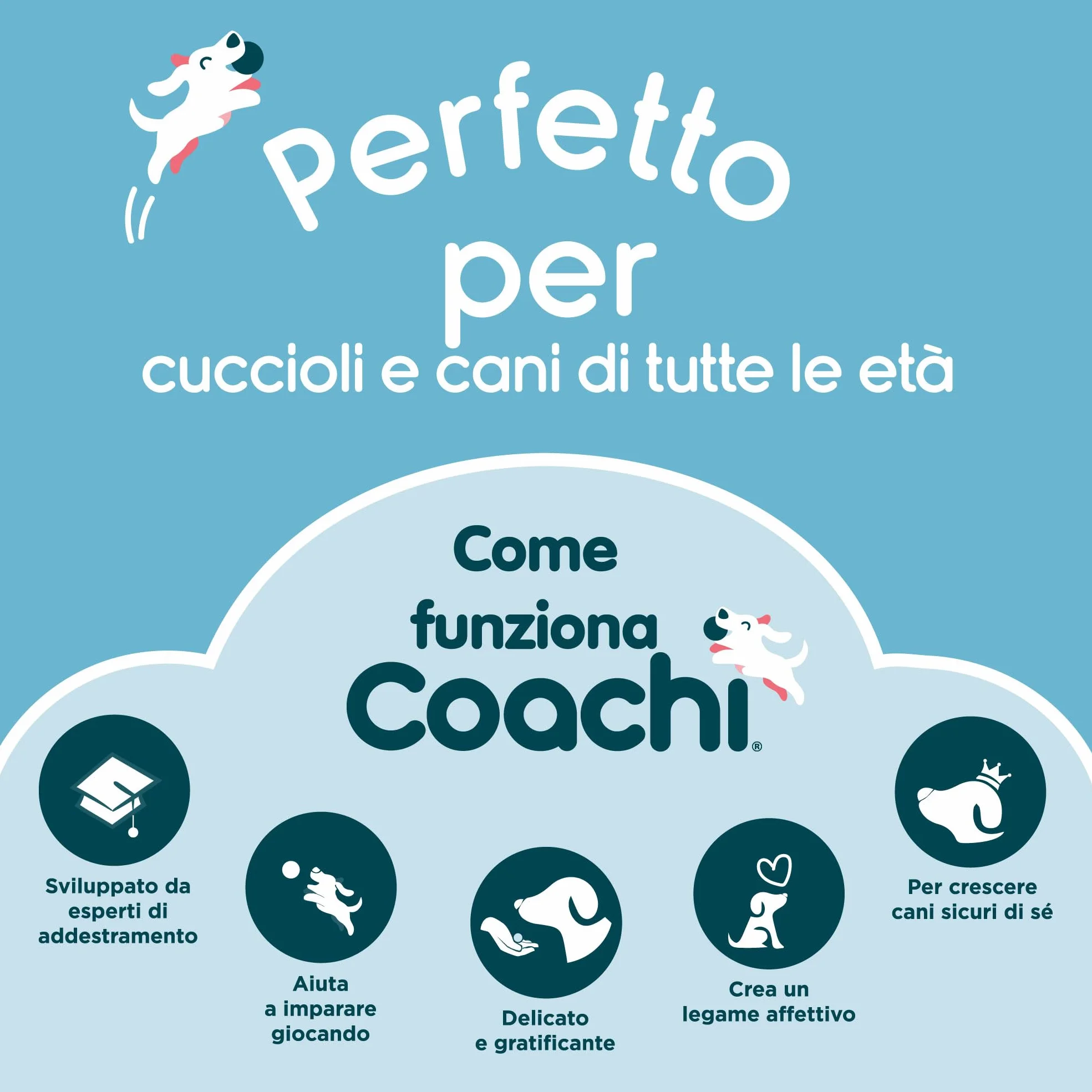 Coachi Target Stick, disegno telescopico con pallina-obiettivo, accessorio per l’addestramento con clicker o di agilità, per insegnare comandi e giochi, adatto a cani e cuccioli.