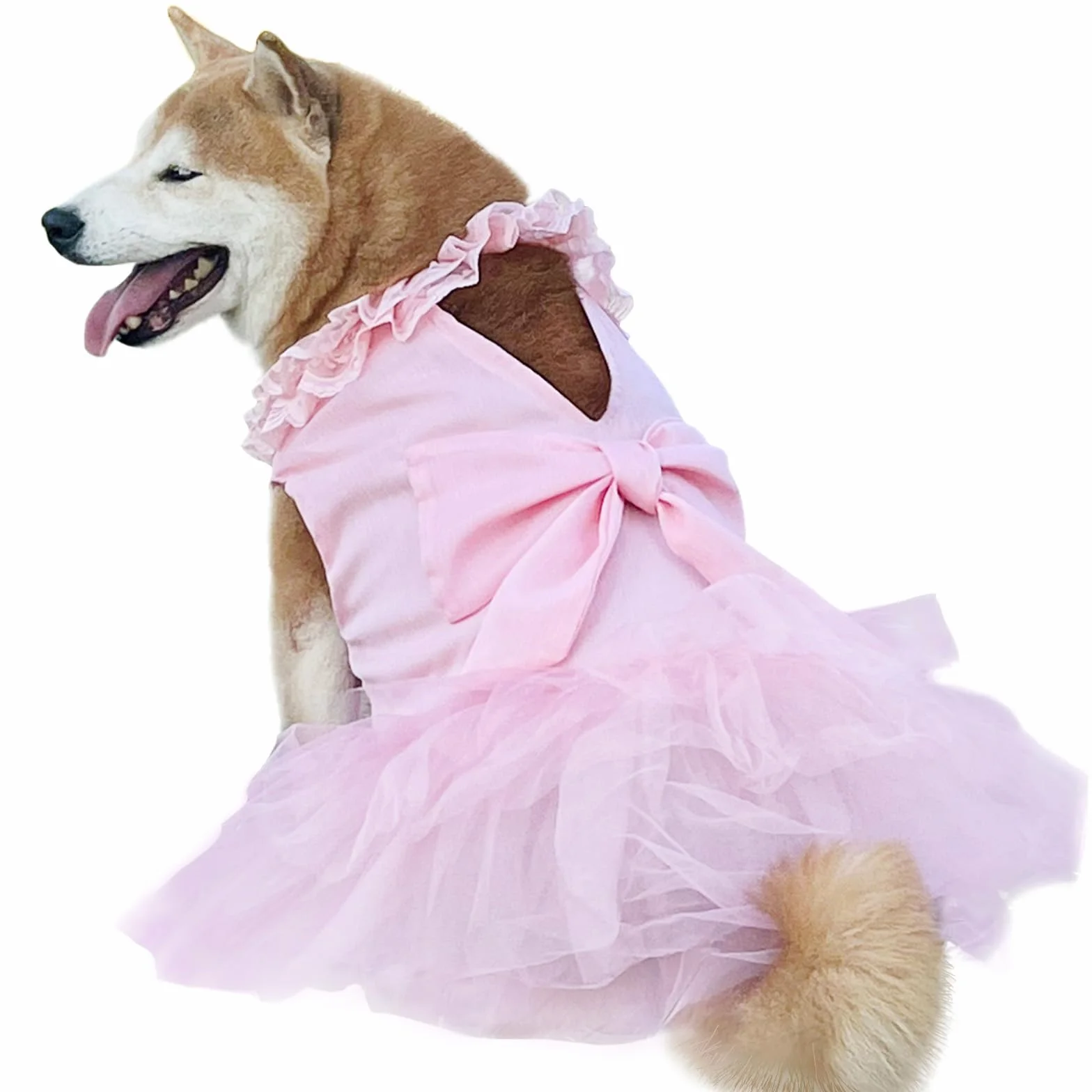 Abito da sposa per cani di lusso con fiocco, taglia grande e media, gonna da principessa estate