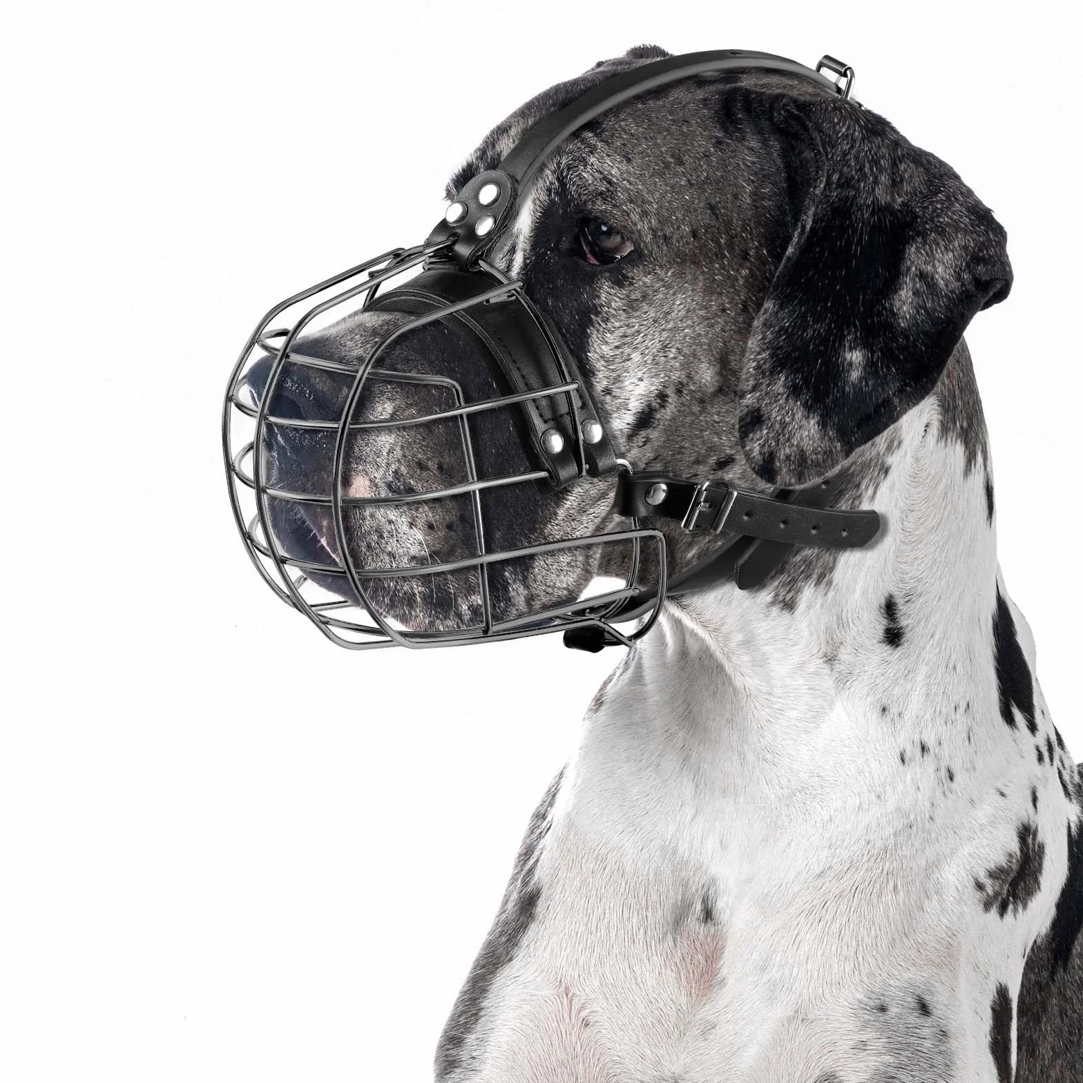 ILEPARK Museruola per Cani in Metallo con Cinghie in Pelle, Pitbull, Alano, Rottweiler, Cestello in Filo Sicuro, Traspirante, Regolabile per Cani Grandi (Nero)