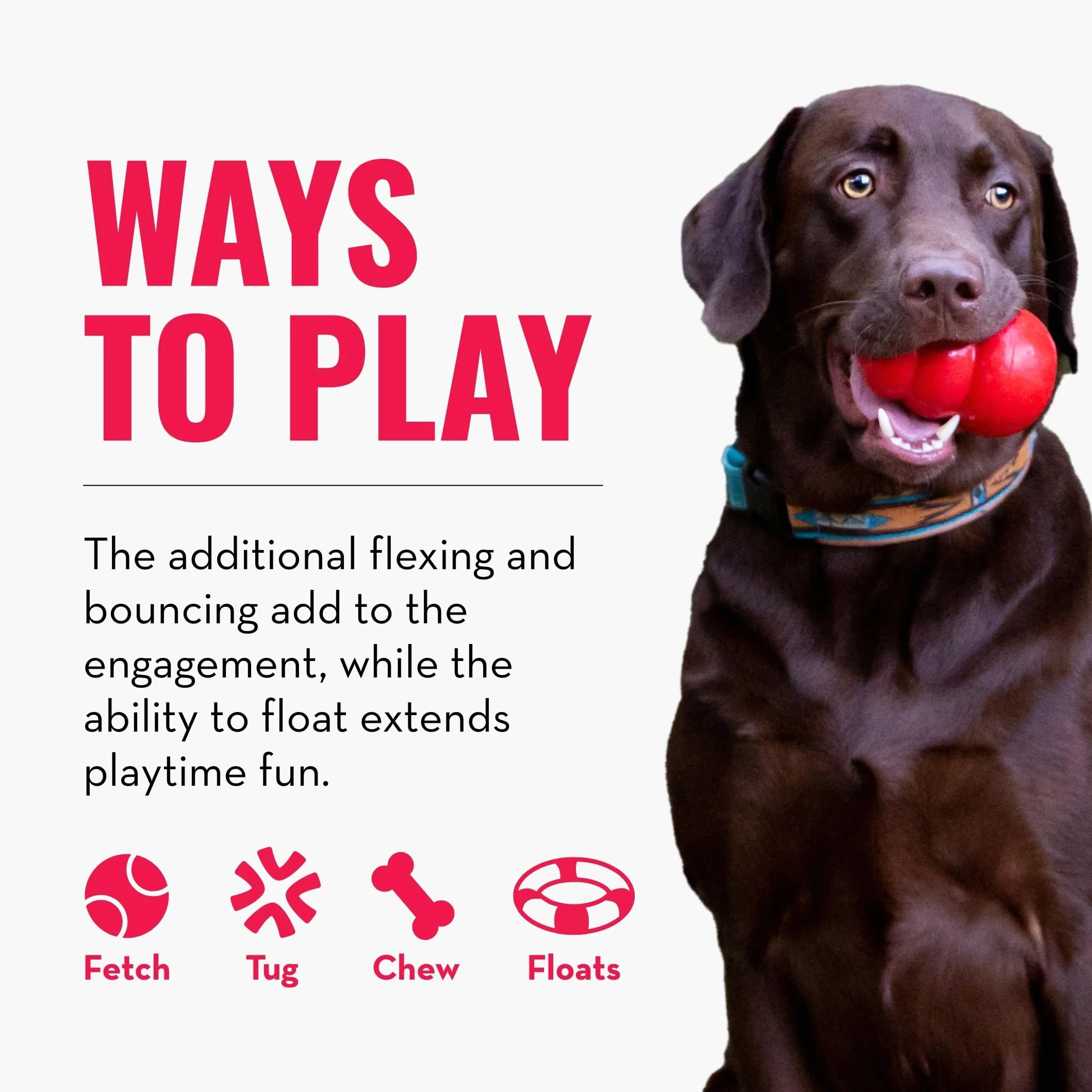 KONG Safestix - Giocattolo per cani, colori assortiti
