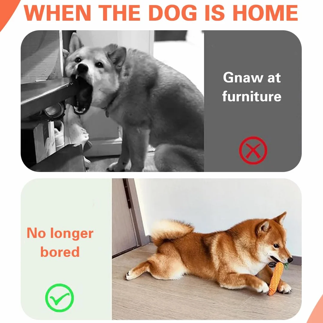 2 pezzi di corda giocattolo per cani, tiro alla fune interattivo cane treccia forma carota dentizione universale cani.