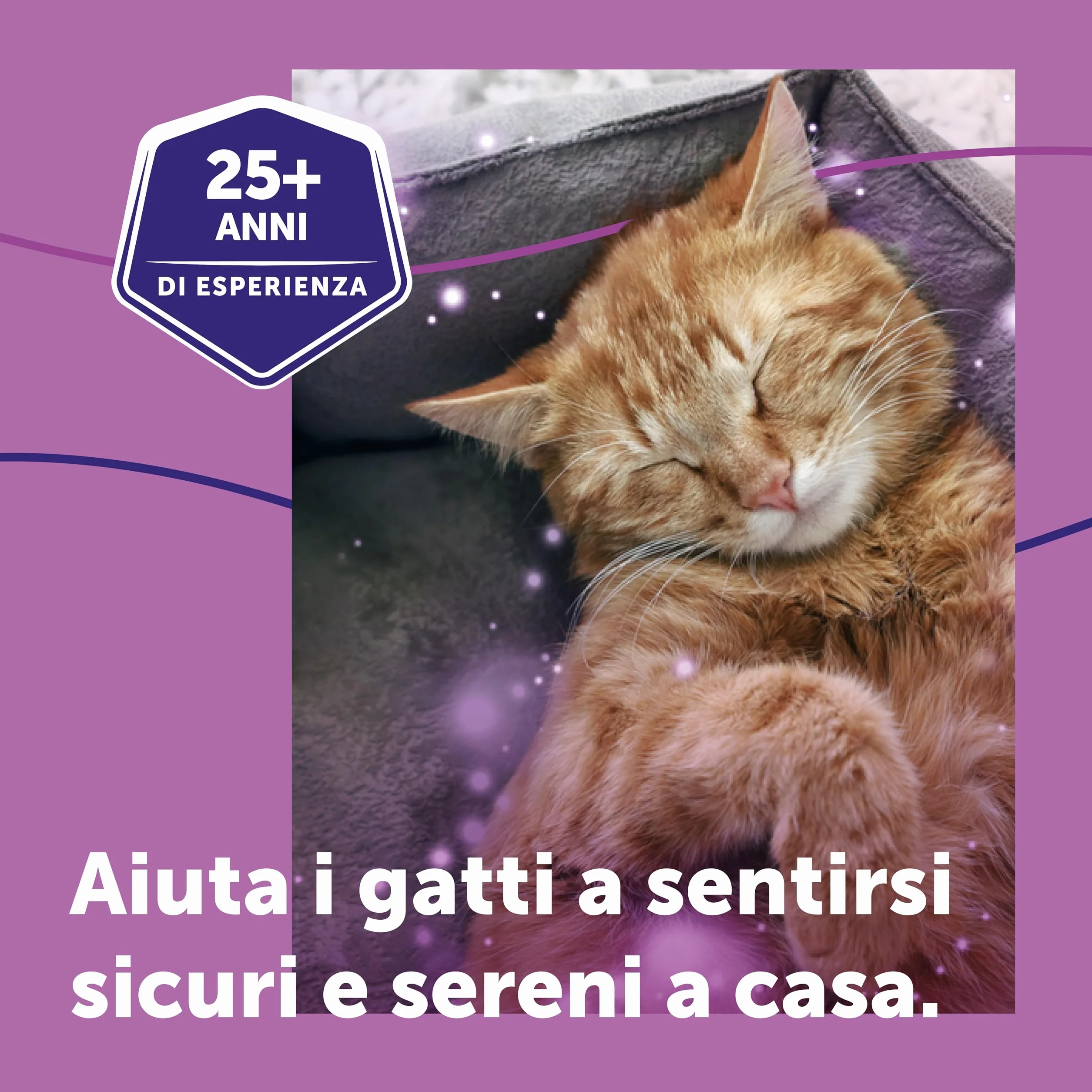 FELIWAY Classic 1x30 Giorni Ricarica Calmante per Gatti per Diffusore di Feromoni, 48 ml – Aiuta a risolvere i segni comuni di stress nei gatti e gattini, Raccomandato dai Veterinari