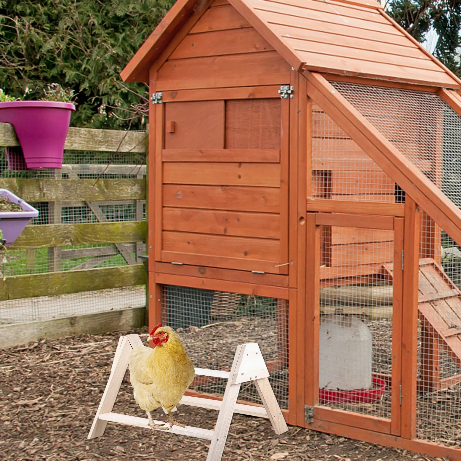 GALPADA Posatoio per Intrattenimento in Legno Beige Supporto per Galline e Addestramento per Polli da Gabbia Uccelli Domestici per Uso Interno