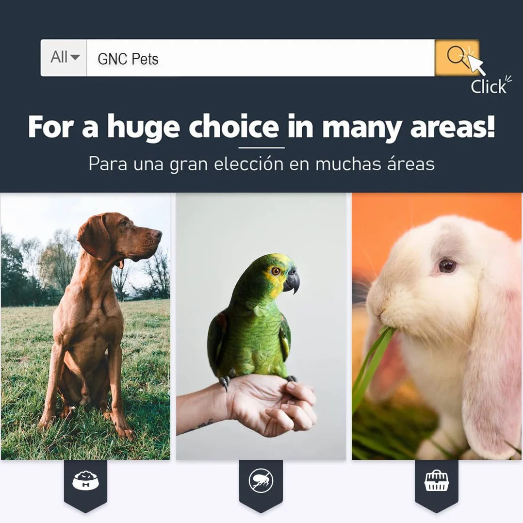 GNCGarden Palla per roditore grande 18 cm | Palla per roditore | Giocattolo per animali domestici | Giocattolo interattivo per criceto trasparente - Esercizi per animali