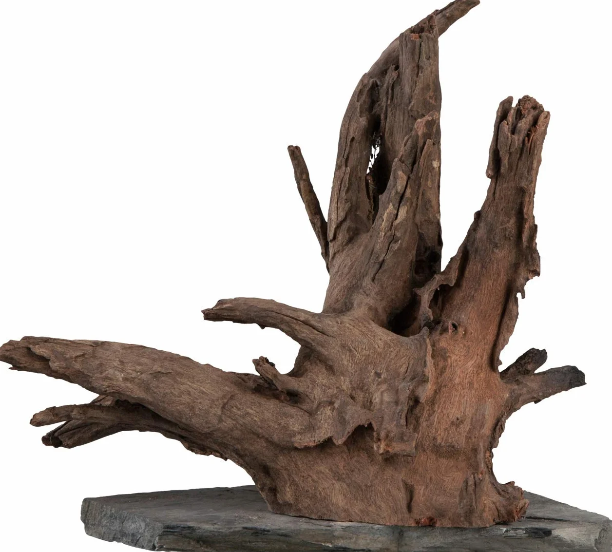 sera Scaper Wood L 30 – 35 cm – Radica compatta su Piastra in Ardesia in Due Misure