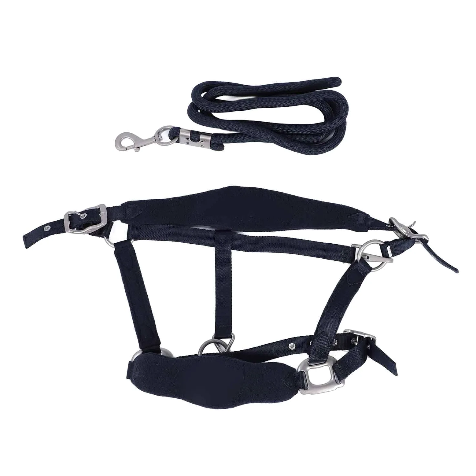 Tbest Set Cavezza per Cavallo, Set Guinzaglio Regolabile per Cavezza Briglia da Addestramento per con Guinzaglio da 2 M per Addestramento