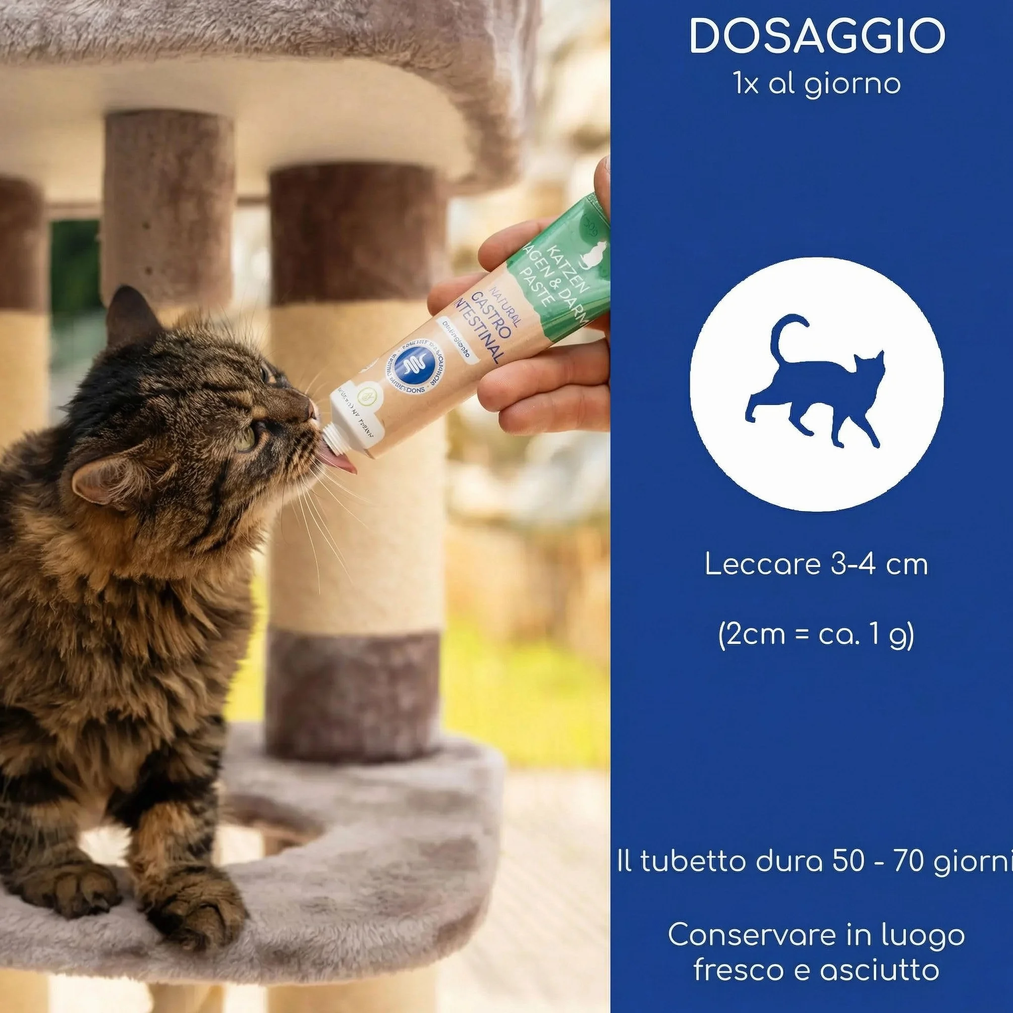 Pasta Gastrointestinale per Gatti – Con Probiotici e Corteccia di Olmo per la Flora Intestinale – Supporta Digestione e Stomaco – Snack Delicato 100g