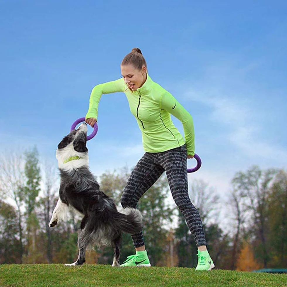 Ferplast Gioco Cane, Anello Addestramento Cani da Masticare, per Corsa, Salto, Tiro, Materiale Robusto Atossico, Galleggiante, PULLER MIDI, Giochi per Cane Piccolo e Medio, Set di 2 Anelli Fitness