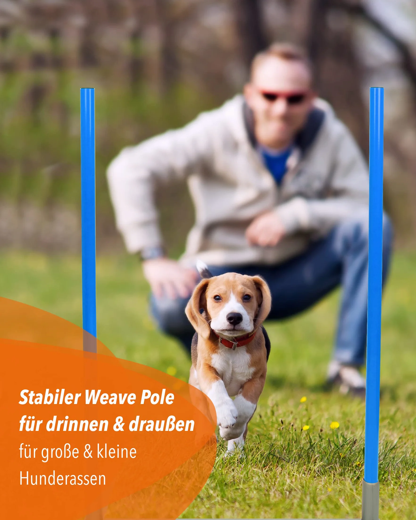 2by2 Weave Poles - Giallo - Set di 2 aste per slalom Agility con base in metallo - per allenamento e costruzione di parcours-espandibili e mobili