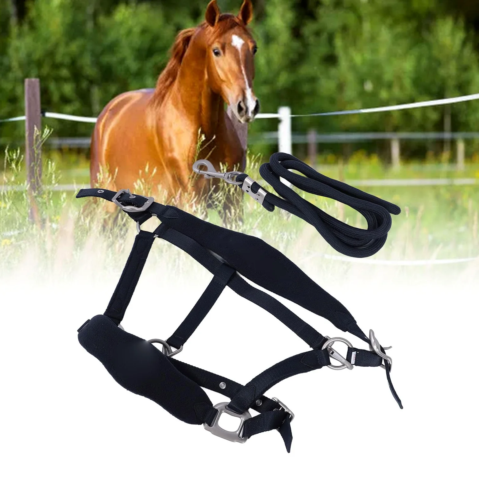 Tbest Set Cavezza per Cavallo, Set Guinzaglio Regolabile per Cavezza Briglia da Addestramento per con Guinzaglio da 2 M per Addestramento