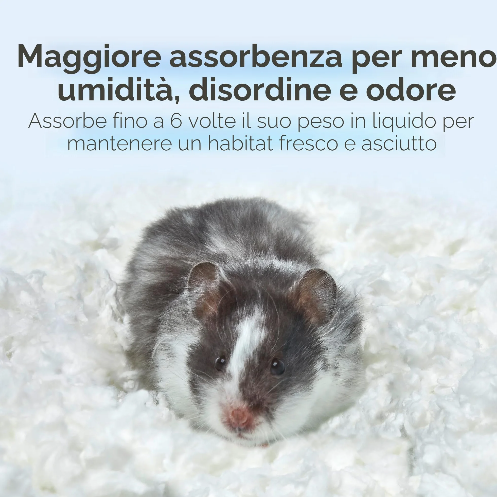 KAYTEE Superpet | Lettiera Clean & Cozy per Piccoli Animali/roditori/criceti | Bianco | 99,9% priva di Polvere | Controllo degli odori | 49,2 Litri