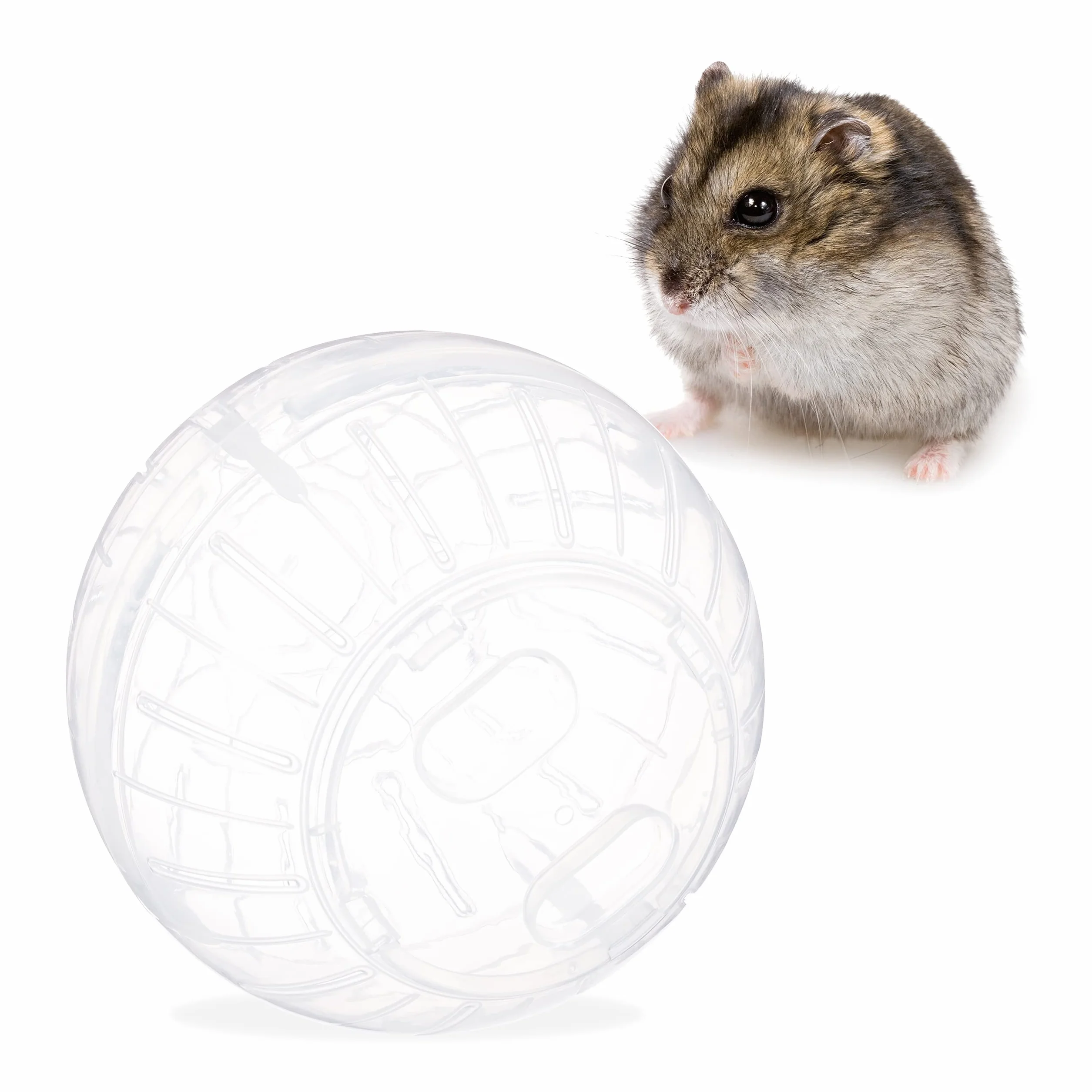 Relaxdays Palla per Criceto, Jogging Ball per Criceti & Roditori, da Esercizio, Giocattolo per Camminare, Plastica, 14 cm, Trasparente