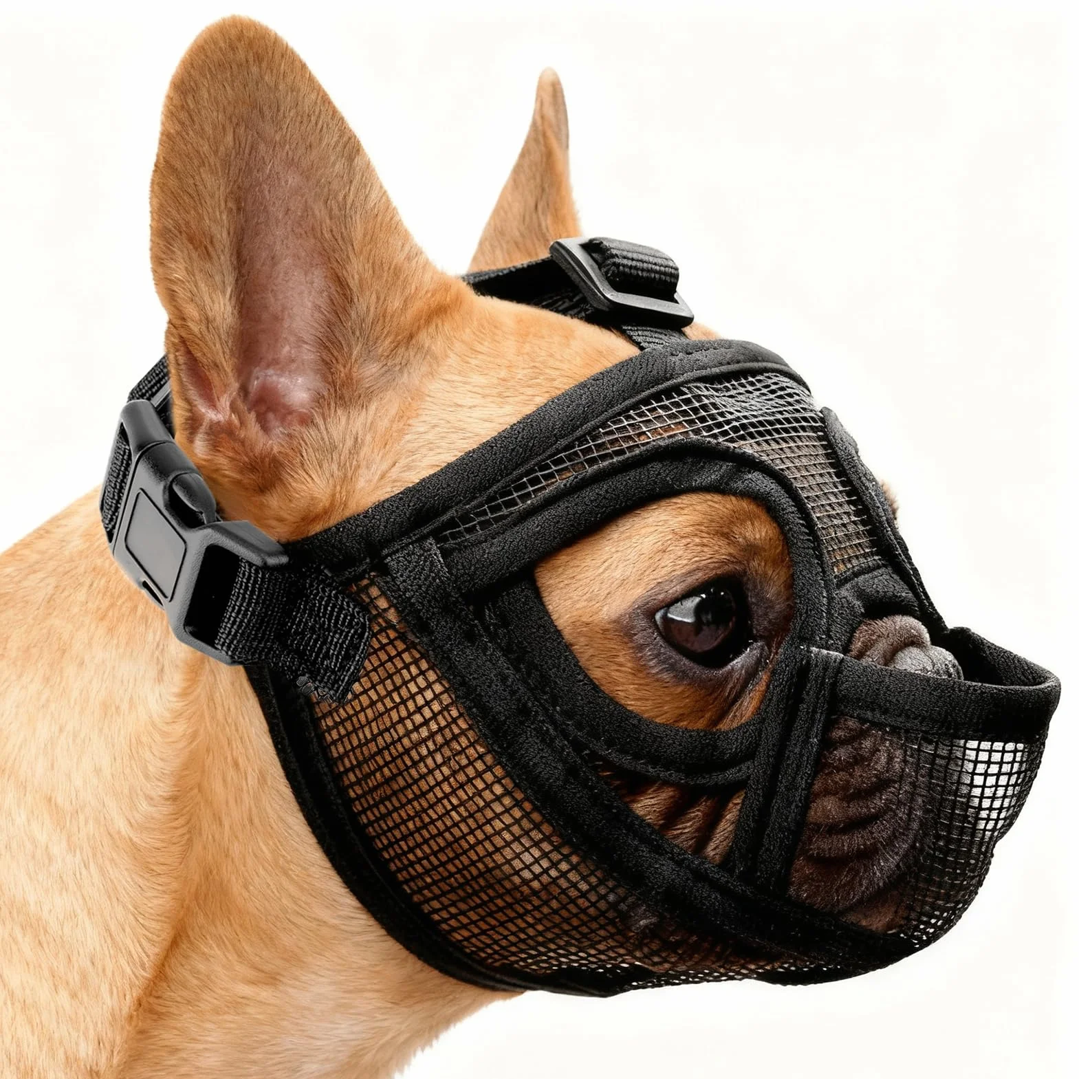 Museruola per Bouledogue Francese, Regolabile Museruola Cane Respirante Maschera Piatta Museruola per Piccoli Cani a Bocca Corta Anti-Morso, Anti-Masticazione, Anti-Leccamento per Shih Tzu e Carlino