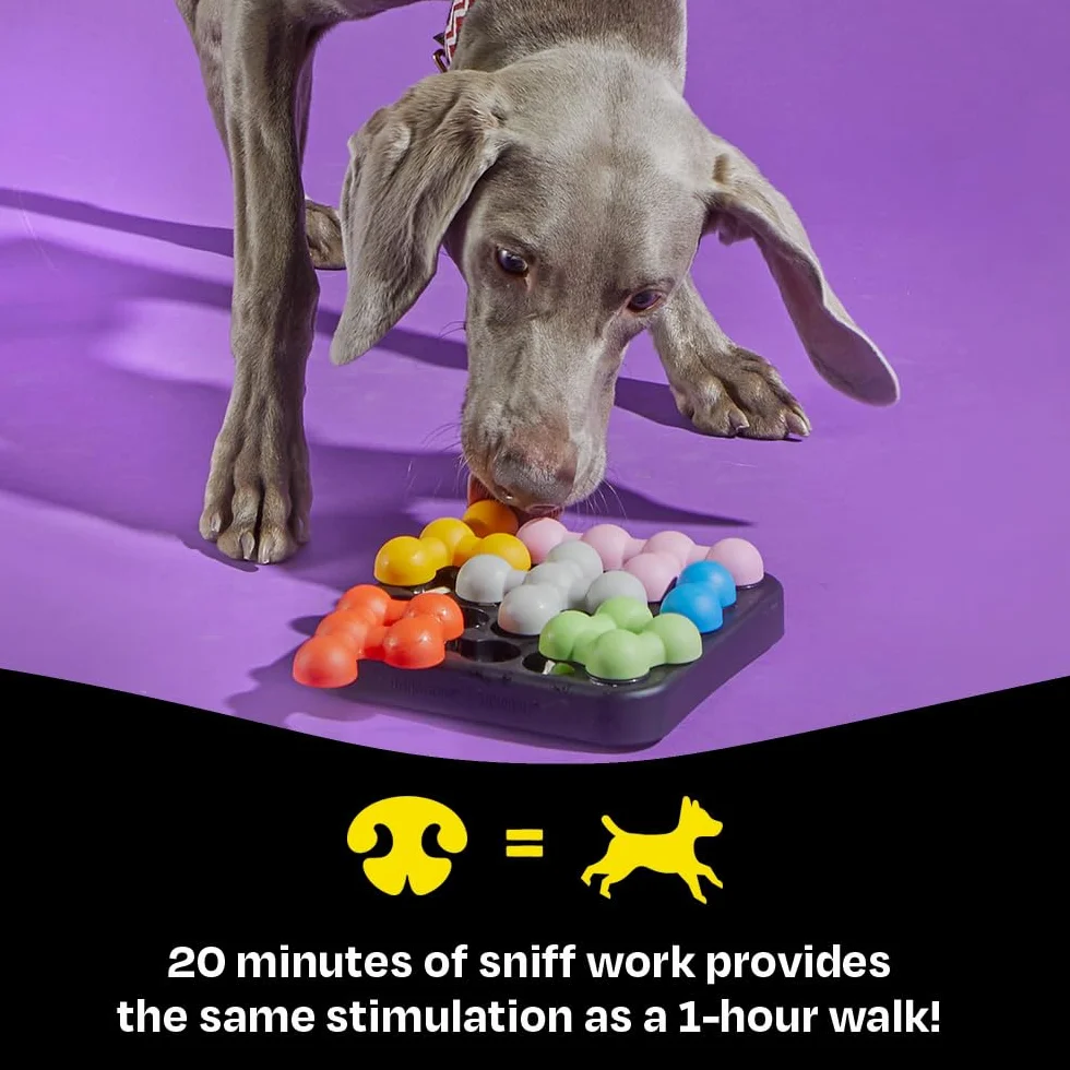 Brightkins Kanoodle Dog Edition – puzzle interattivo per cani intelligenti – gioco mentale antistress – resistente e compatto – ideale per snack e stimolazione