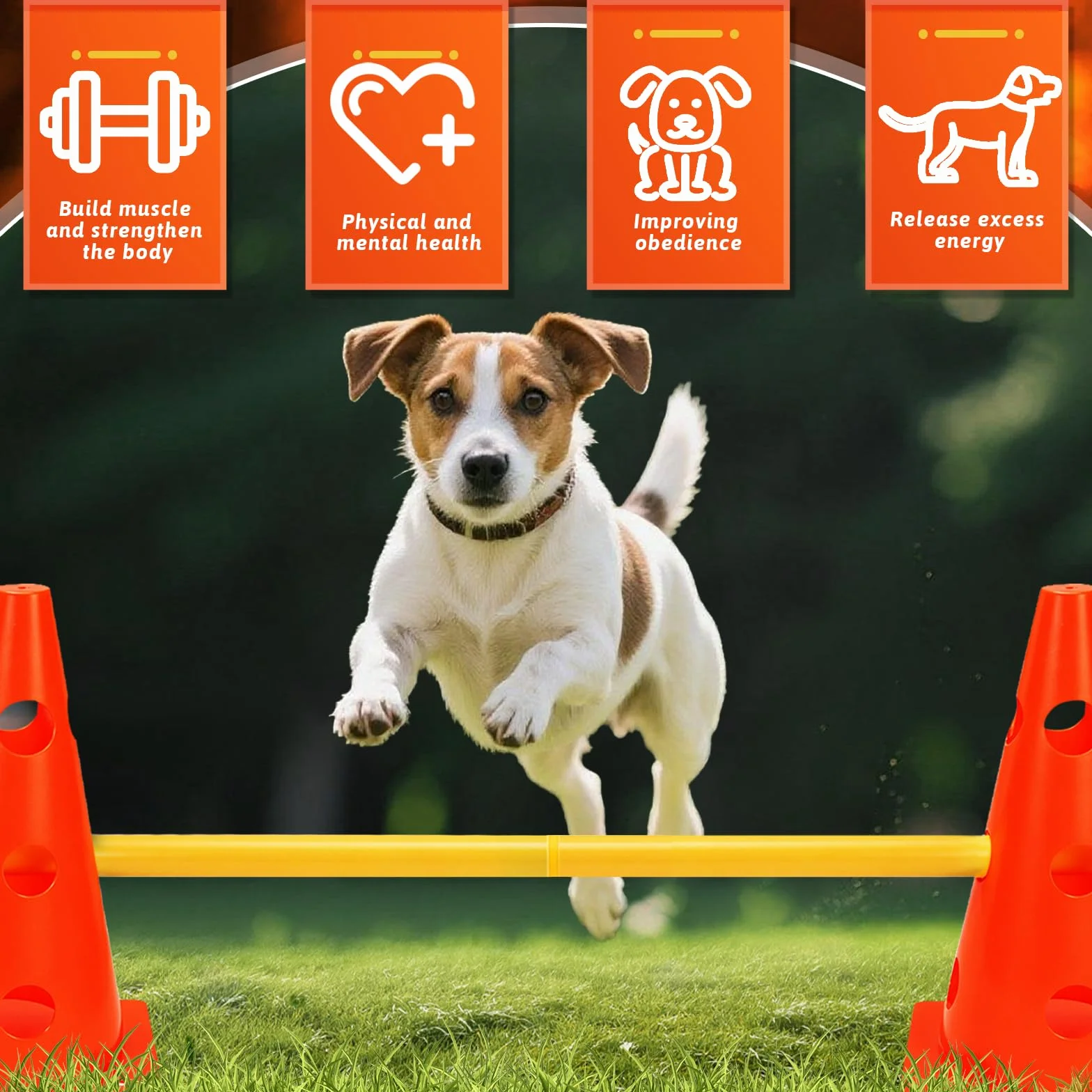 Agility Set per cani ostacoli per bambini, ostacoli per bambini, cani, parcour per saltare, cane Cavaletti, 8 coni 32 cm di altezza + 8 aste lunghe 80 cm, per esercizi di allenamento