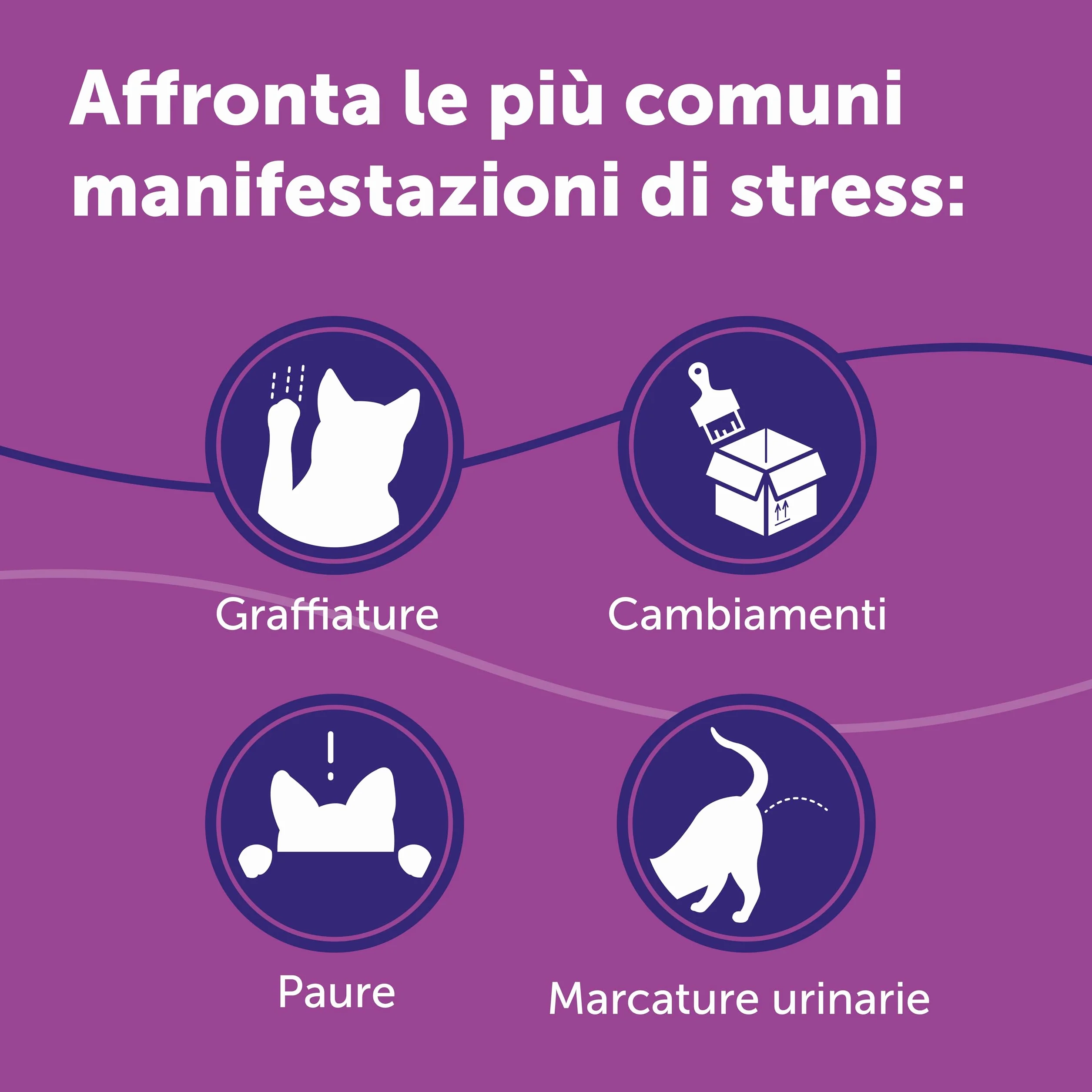 FELIWAY Classic 1x30 Giorni Ricarica Calmante per Gatti per Diffusore di Feromoni, 48 ml – Aiuta a risolvere i segni comuni di stress nei gatti e gattini, Raccomandato dai Veterinari