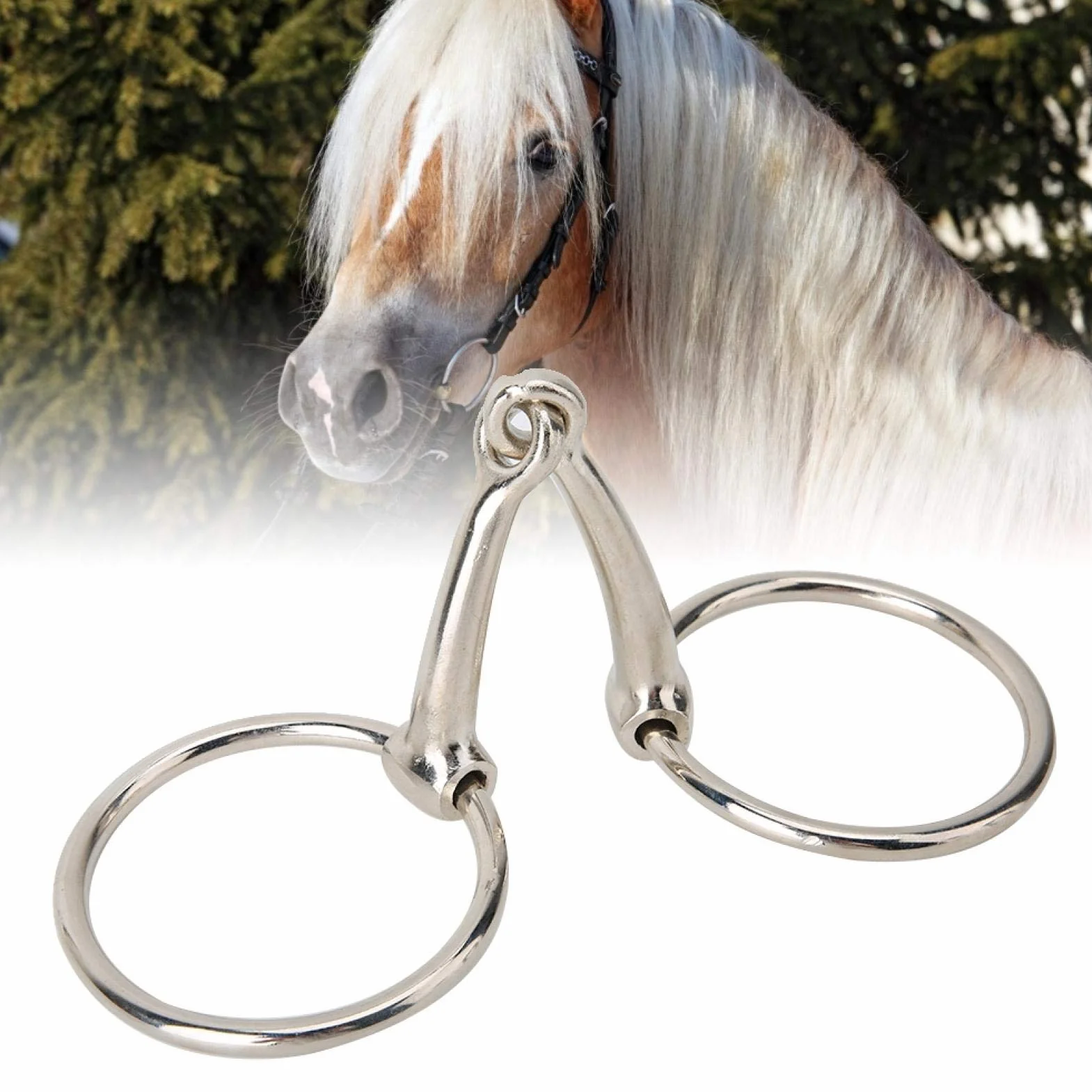 Filetto ad Anello per Cavallo in Ferro Bocca snodata Cava per Forniture equestri