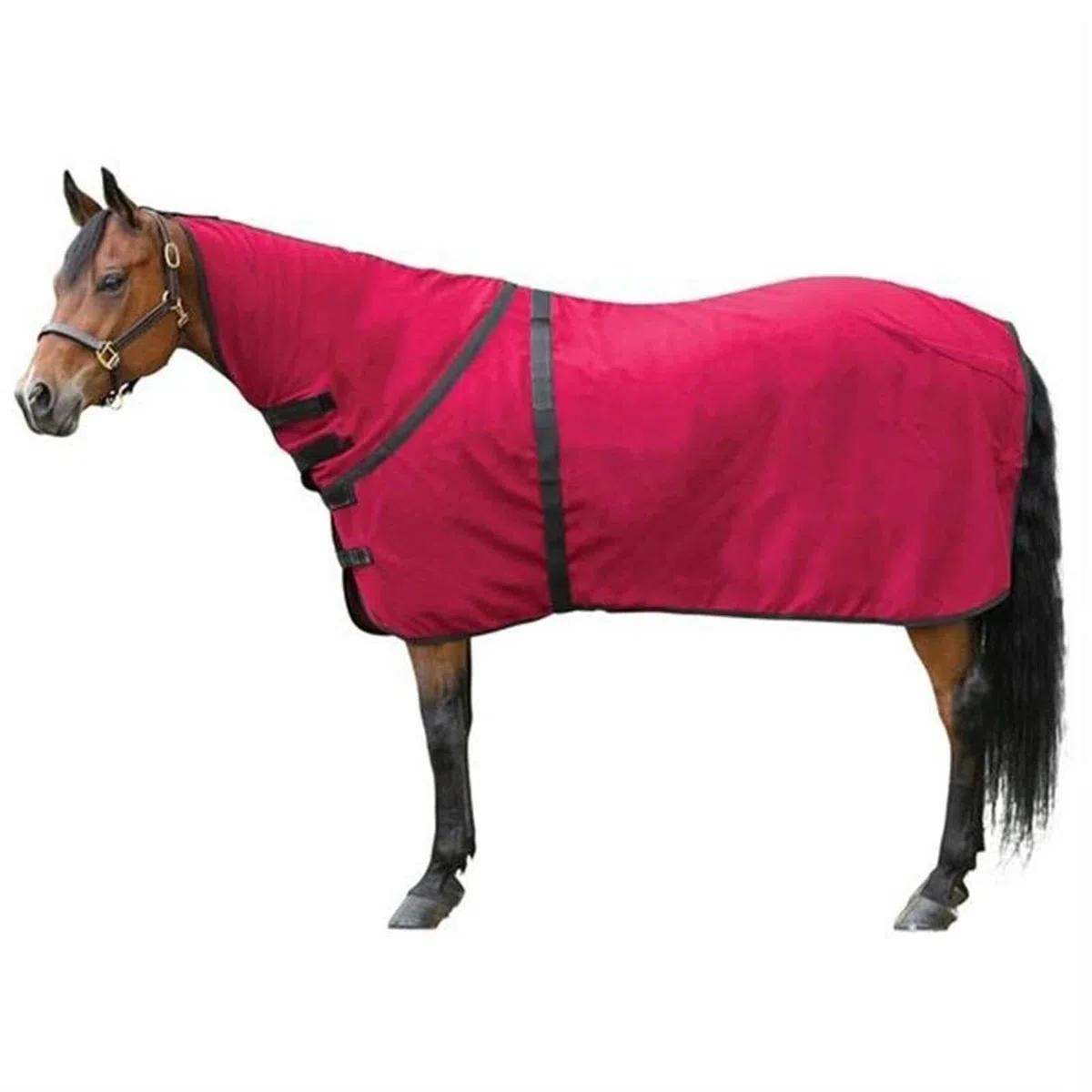 Coperta for Cavallo In Pile Polare | Design ad asciugatura rapida for tutto il corpo for le attività quotidiane di dressage primaverili e autunnali
