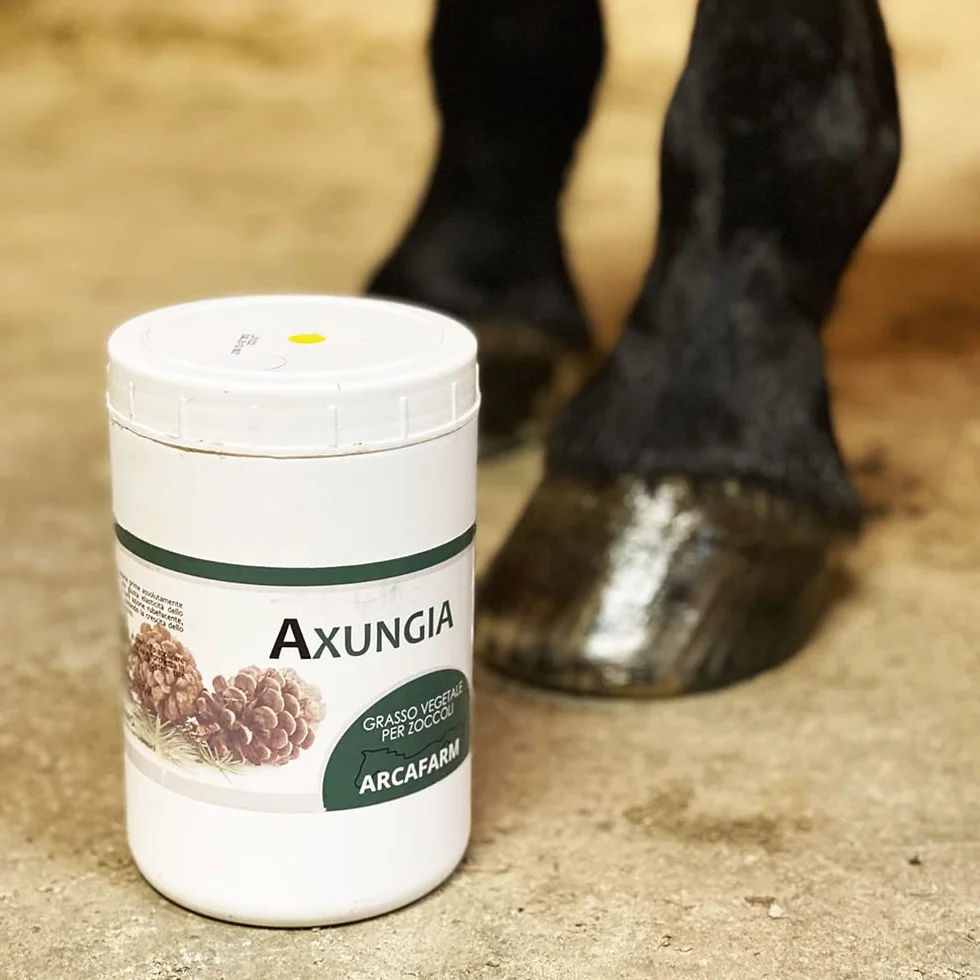 Grasso per Zoccoli Cavalli 1 lt, Verde, unguento per crescita riparazione protezione e cura dello zoccolo dei cavalli, stalloni, puledri, fattrici, pony, shetland, asini, 100% Made in Italy