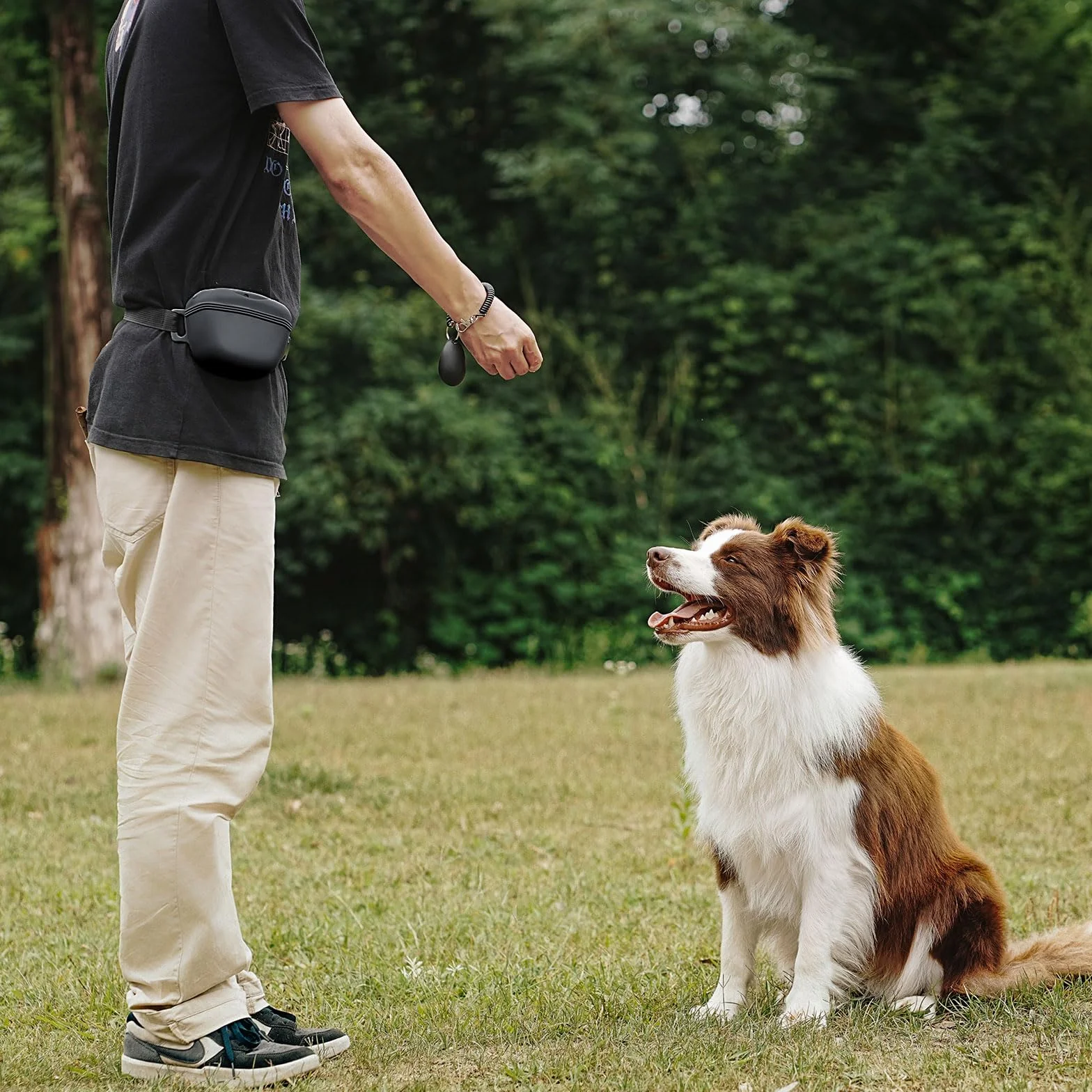 Pet Training Snack Bag con CLICKER 2.0 - Nuova Chiusura Magnetica, 1,66 Tazze con guinzaglio in Silicone, Ideale per l'addestramento e Le Passeggiate.