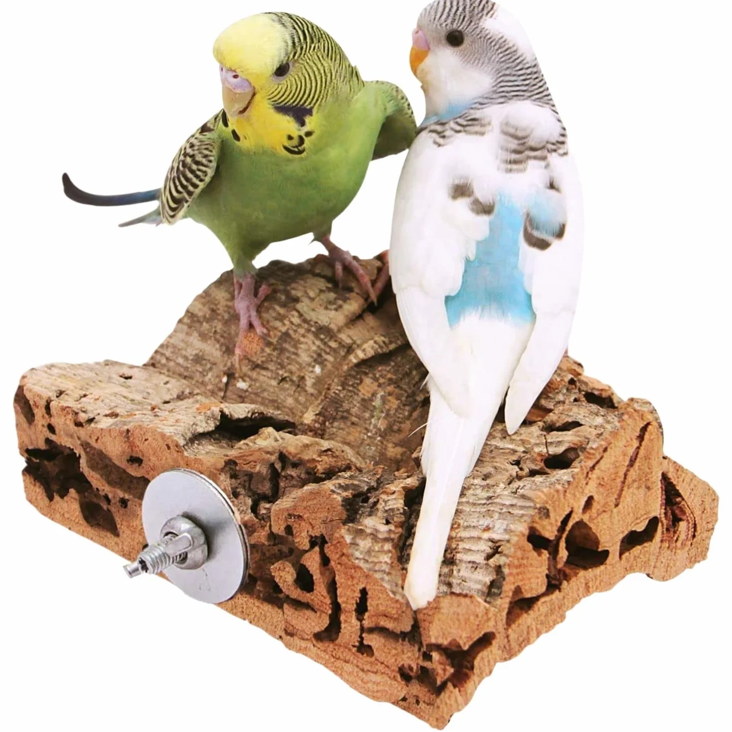 Posatoio piccolo per uccelli – Accessori sani per pappagallini, fatti a mano in sughero
