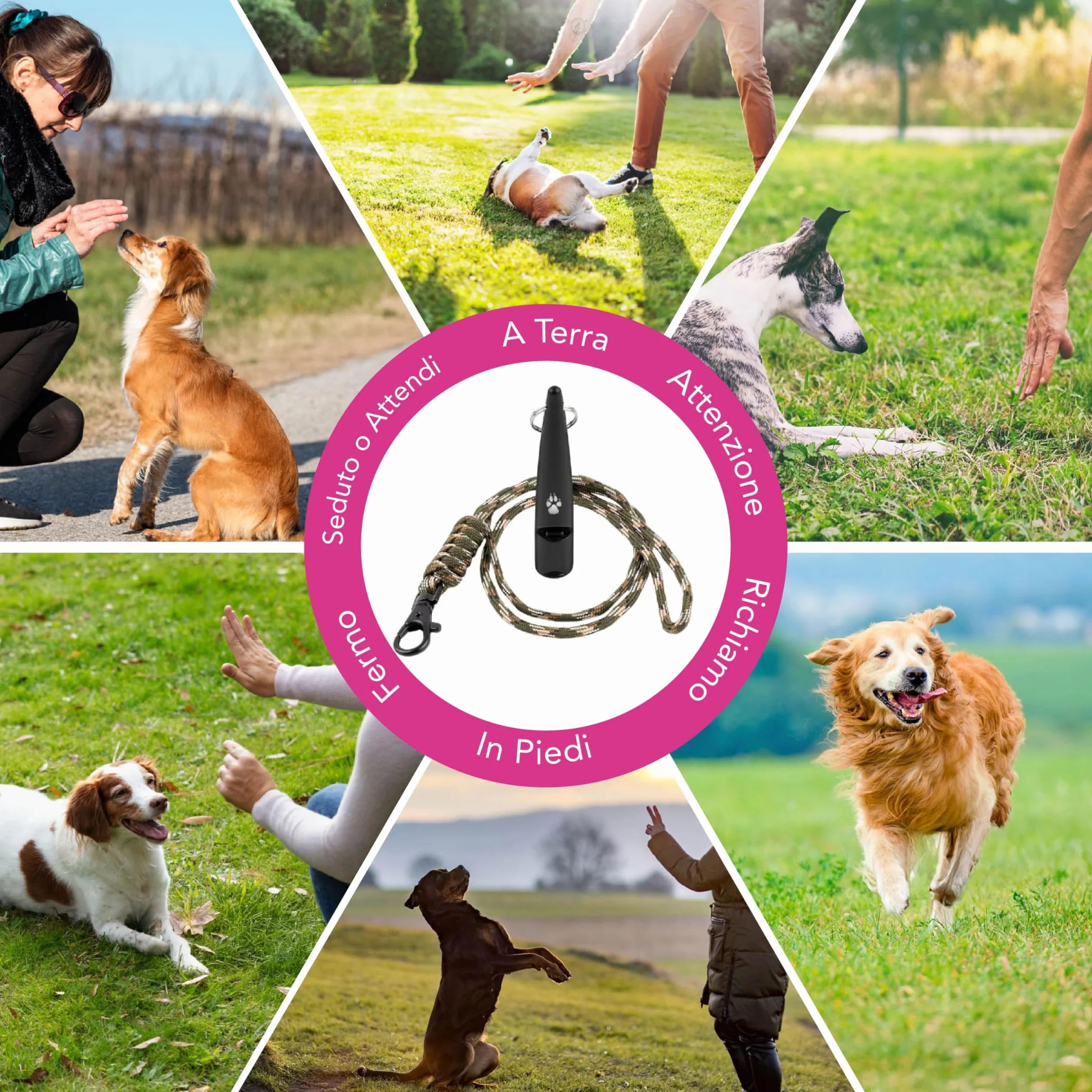 TDL Fischietto per Cani con Cordino – Strumento a Lunga Distanza per Il Richiamo e l’Obbedienza dei Cuccioli – Fischietto da Viaggio con Suono Forte per Tutte Le Razze – Nero con Corda Verde Militare