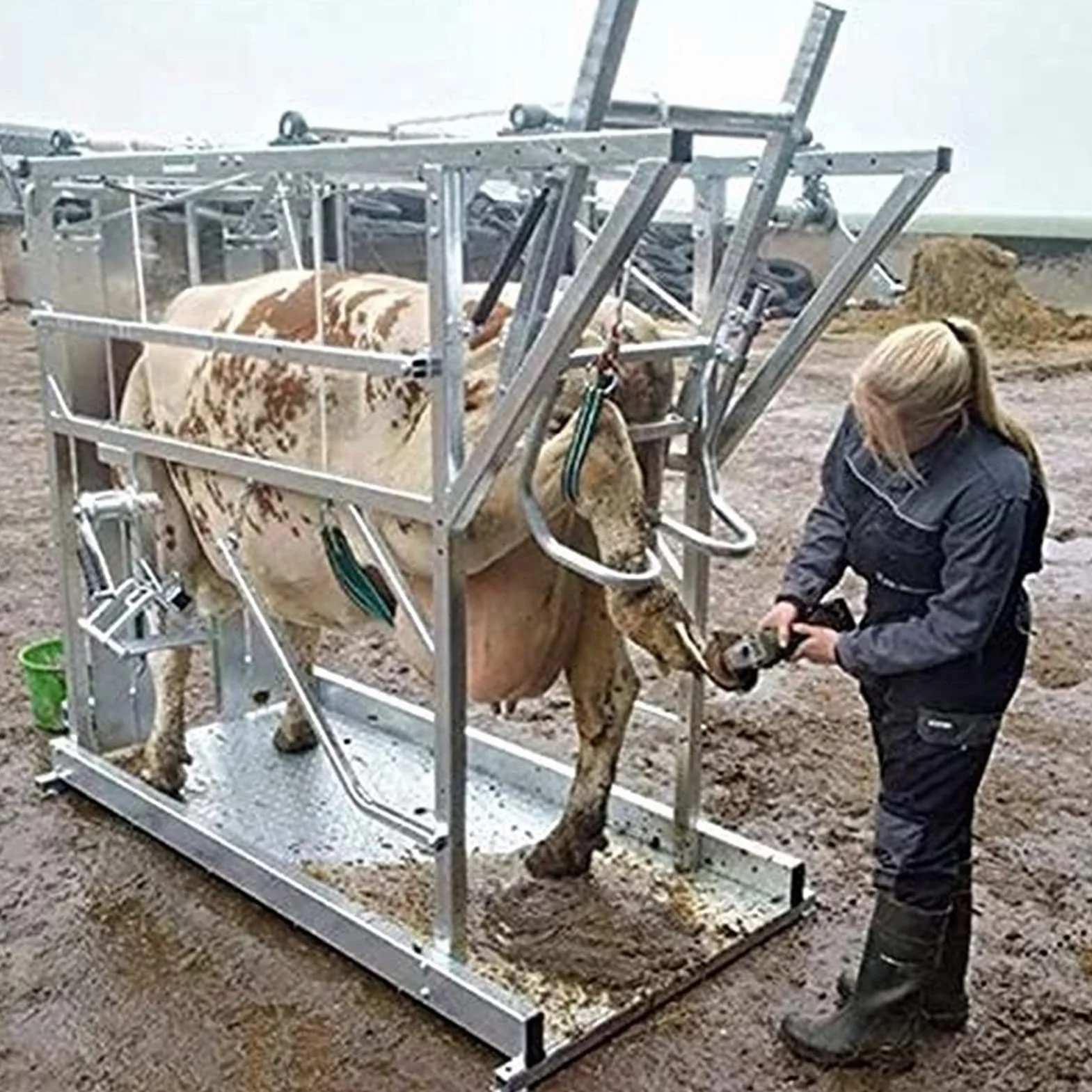 Bovini Piastra di Taglio dello Zoccolo Multi-Purpose Bestiame Unghie rifilatura Zoccolo Lama Legno Intaglio Piastra Strumento bovini Coltello Accessori per Cavalli Mucche capre Asini Ca
