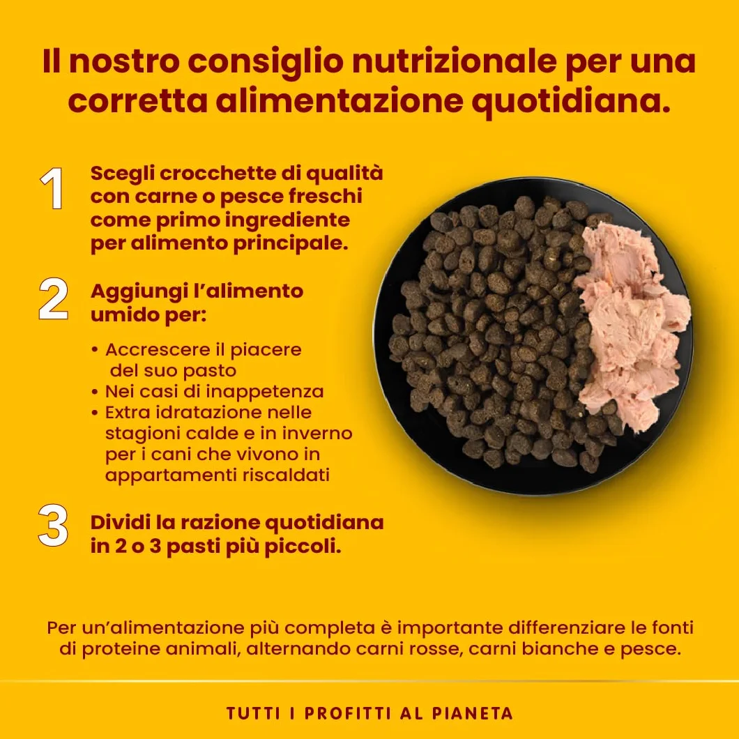 Almo Nature HFC Natural, Alimento Umido per Cani - Filetto di Pollo - Confezione da 2.28 kg (24 x 95 g)