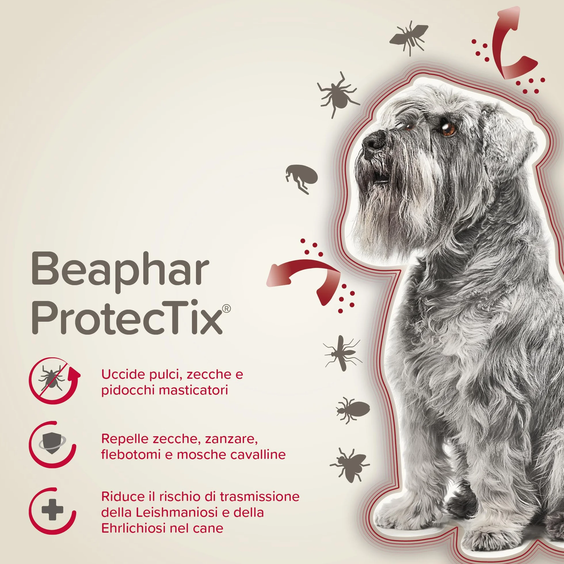 Beaphar ProtecTix Cane, Antiparassitario Spot-On per Cane Piccolo (4-10 Kg), Riduce il Rischio di Leishmaniosi, Contro Zecche, Pulci e Pidocchi, Confezione 4 Pipette da 1 ml