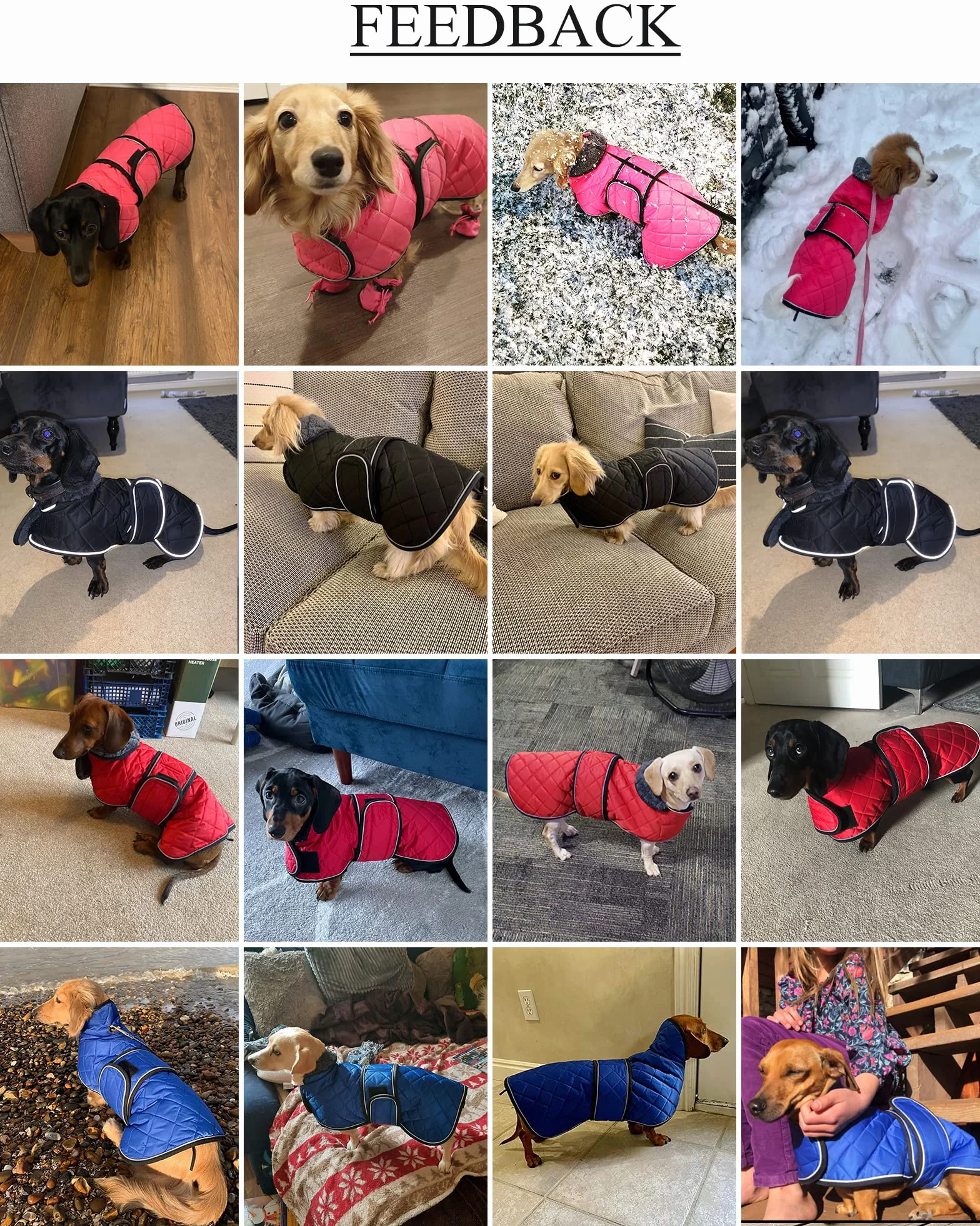 Geyecete - Cappotto Invernale termico trapuntato per cane bassotto,con fodera in pile caldo, abbigliamento per cani da esterno con foro per Imbracatura,Giacca per cani piccola y media-Nero-S