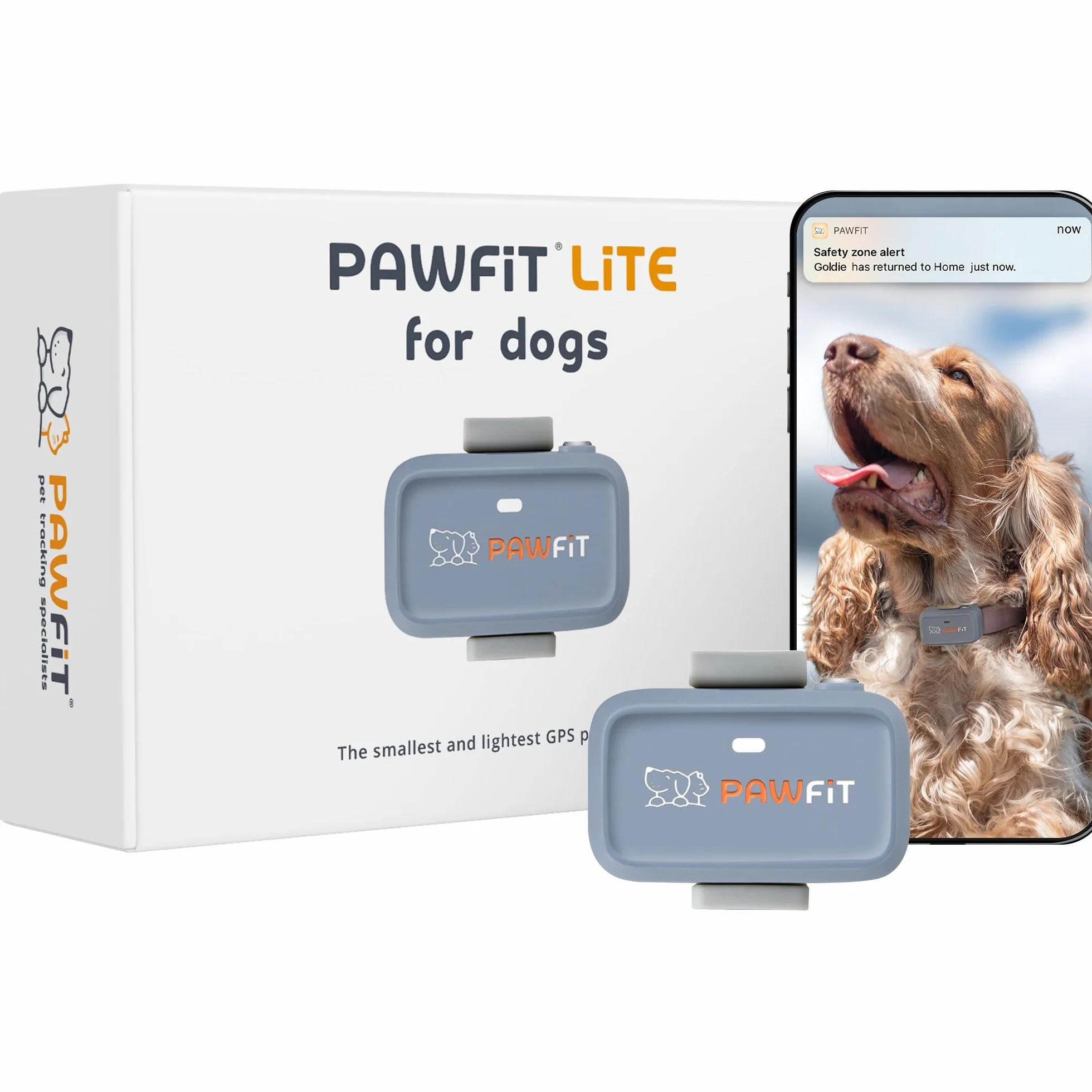 Pawfit Localizzatore GPS Lite per cani di piccola taglia, 4 g, monitoraggio in tempo reale, monitoraggio attività, cronologia delle posizioni, portata illimitata, grigio lilla