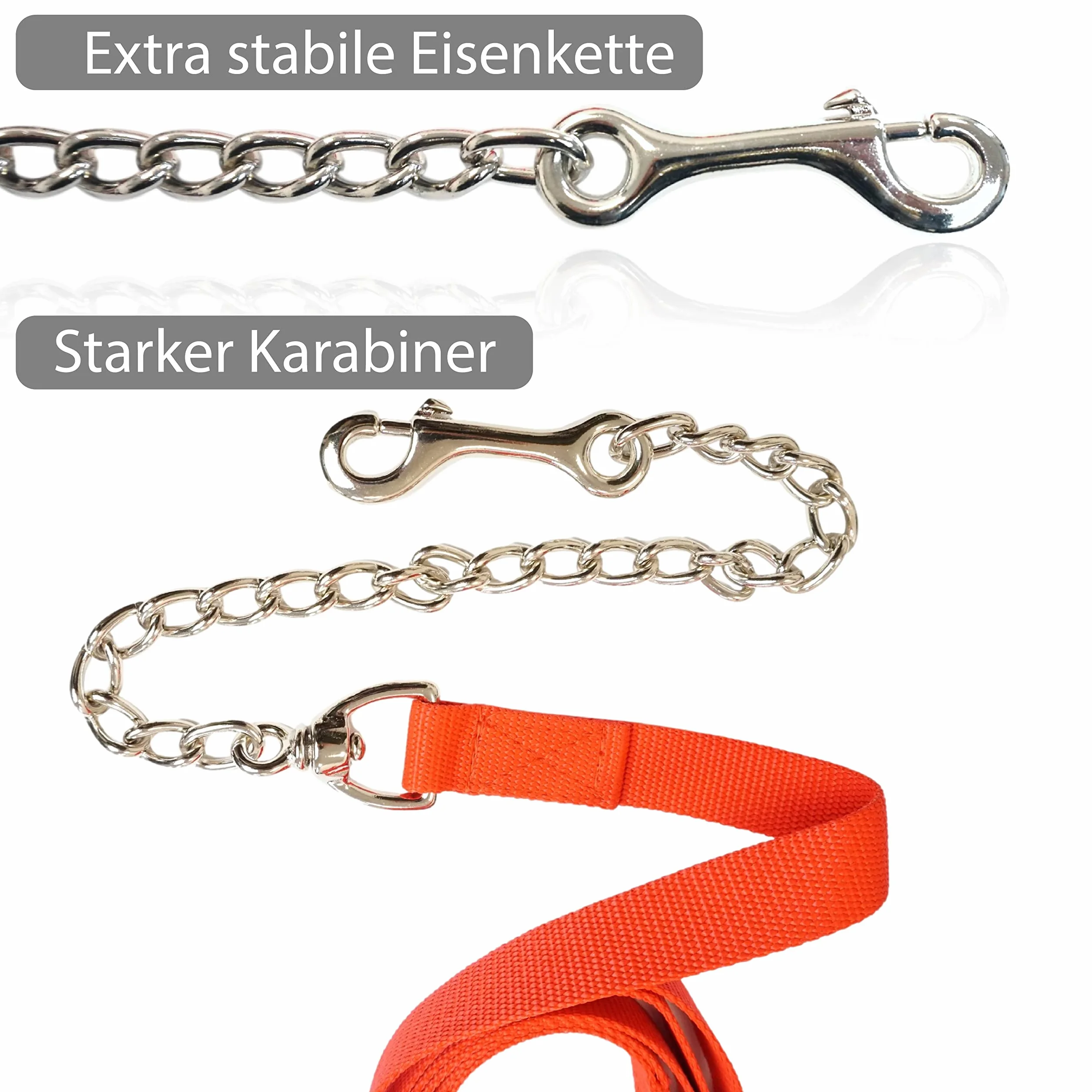 Catena di guida per cavalli | guida sicura con catena di ferro e manico in nylon | Guinzaglio adatto per stalloni cani pony asini | Lunghezza 2,10 m (rosso)