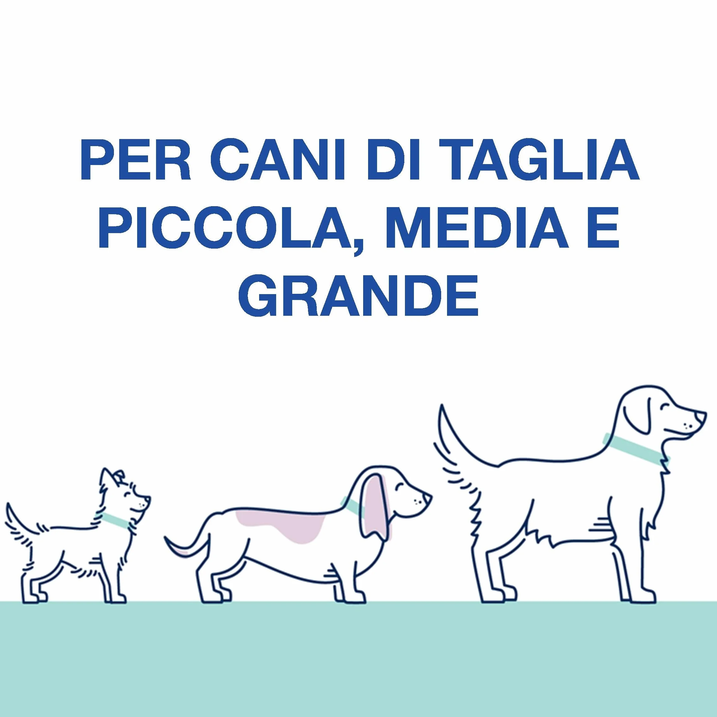 Gioco Interattivo per Cani Cuccioli e Grandi - Stimolazione Mentale, Riduzione della Noia, Miglioramento del Comportamento, Esercizio Fisico - Alimentatore Divertente e Durevole
