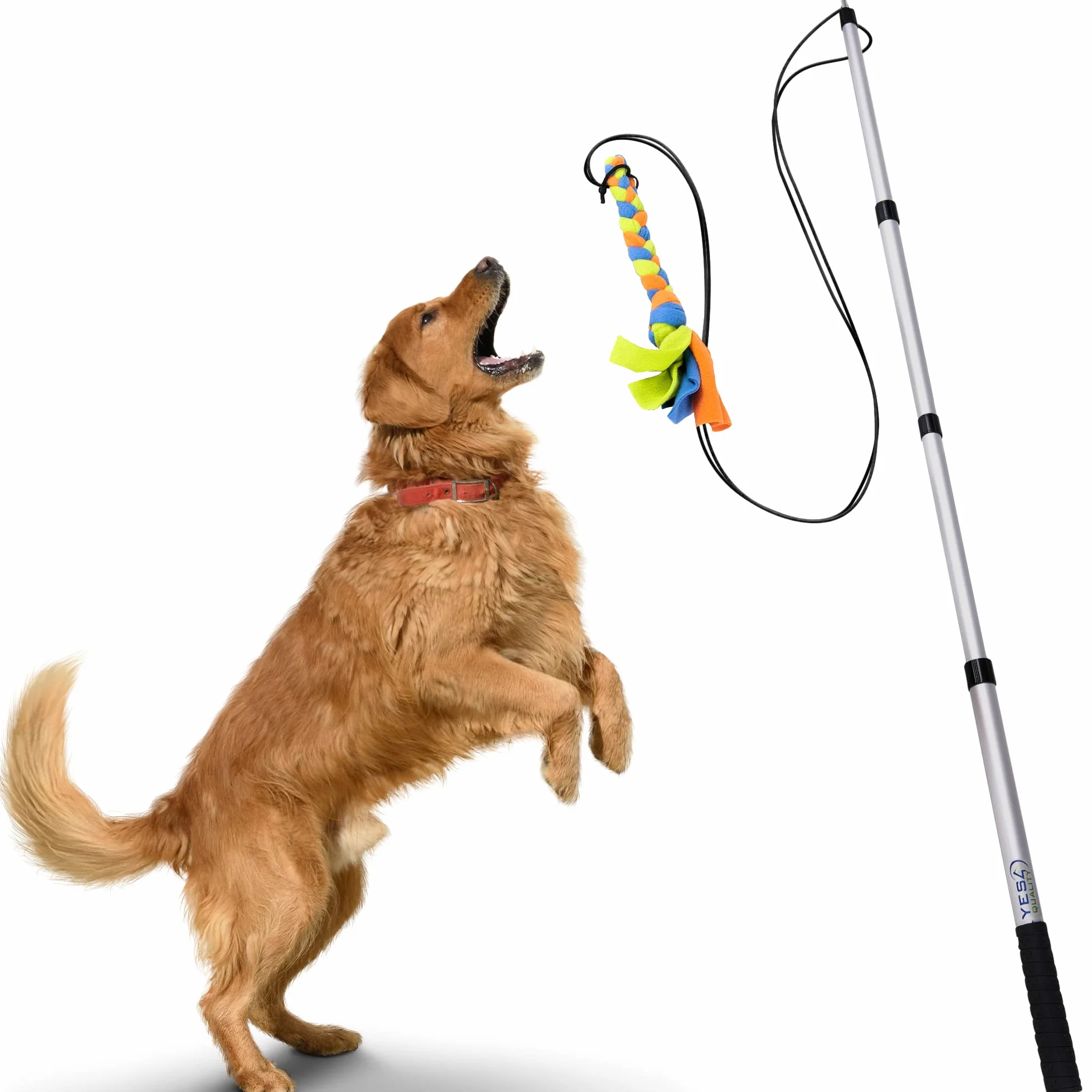 Asta da Flirt per Cani con Corda Non Elastica Sicura e Resistente, Bastone Esca Telescopico per Cani di Qualsiasi Taglia, Giocattolo per Cani per Allenamento ed Esercizio di Yes4Quality