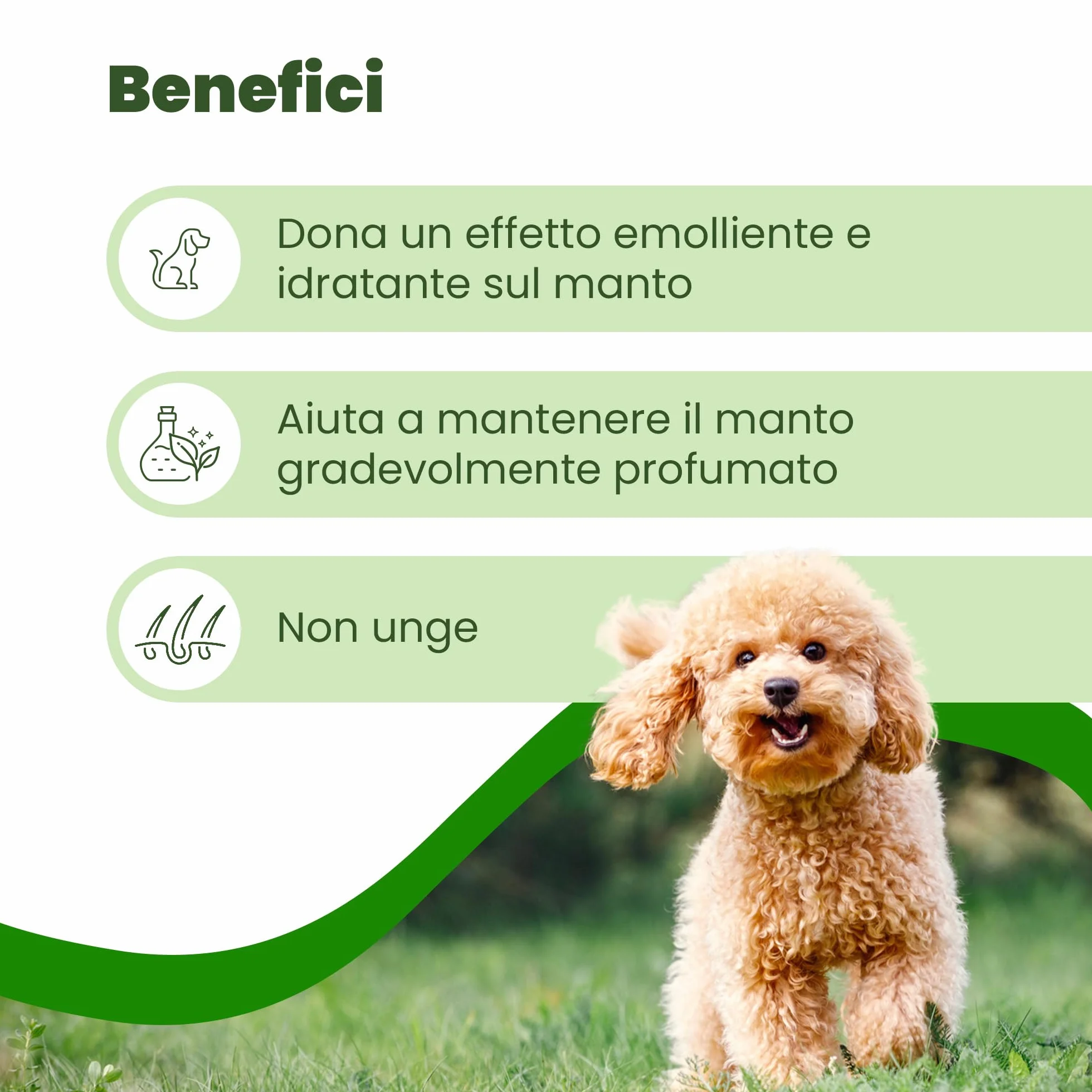 CAMON | Spot-On Protection Cane (0-10kg), 5 Fiale da 3ml con Olio di Neem, Naturale e Efficace