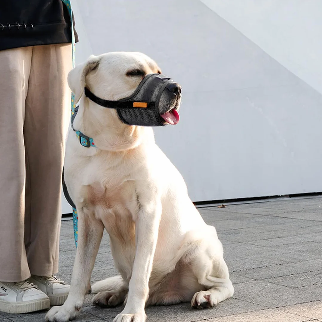 Museruola Cani in Nylon Regolabile