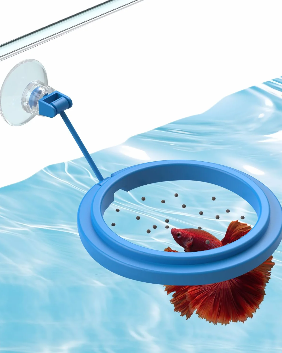 Pawfly Anello di alimentazione per acquario con ventosa, piccolo anello galleggiante per pesci Betta Pesce rosso Guppy Tartaruga
