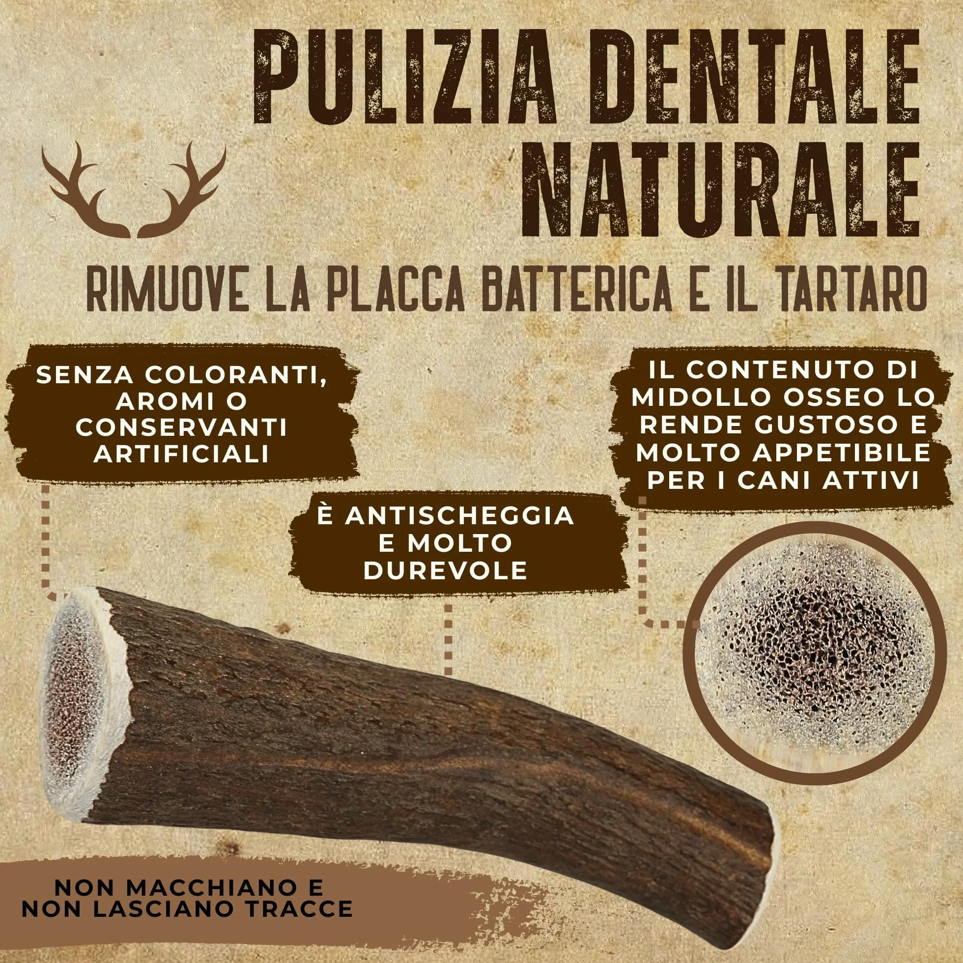 Corno di Cervo Naturale per Cani | Masticatore Dentale Duraturo | Origine Naturale, Senza Additivi | Kira&Gara® (XL - 200-240g, Pack de 1)