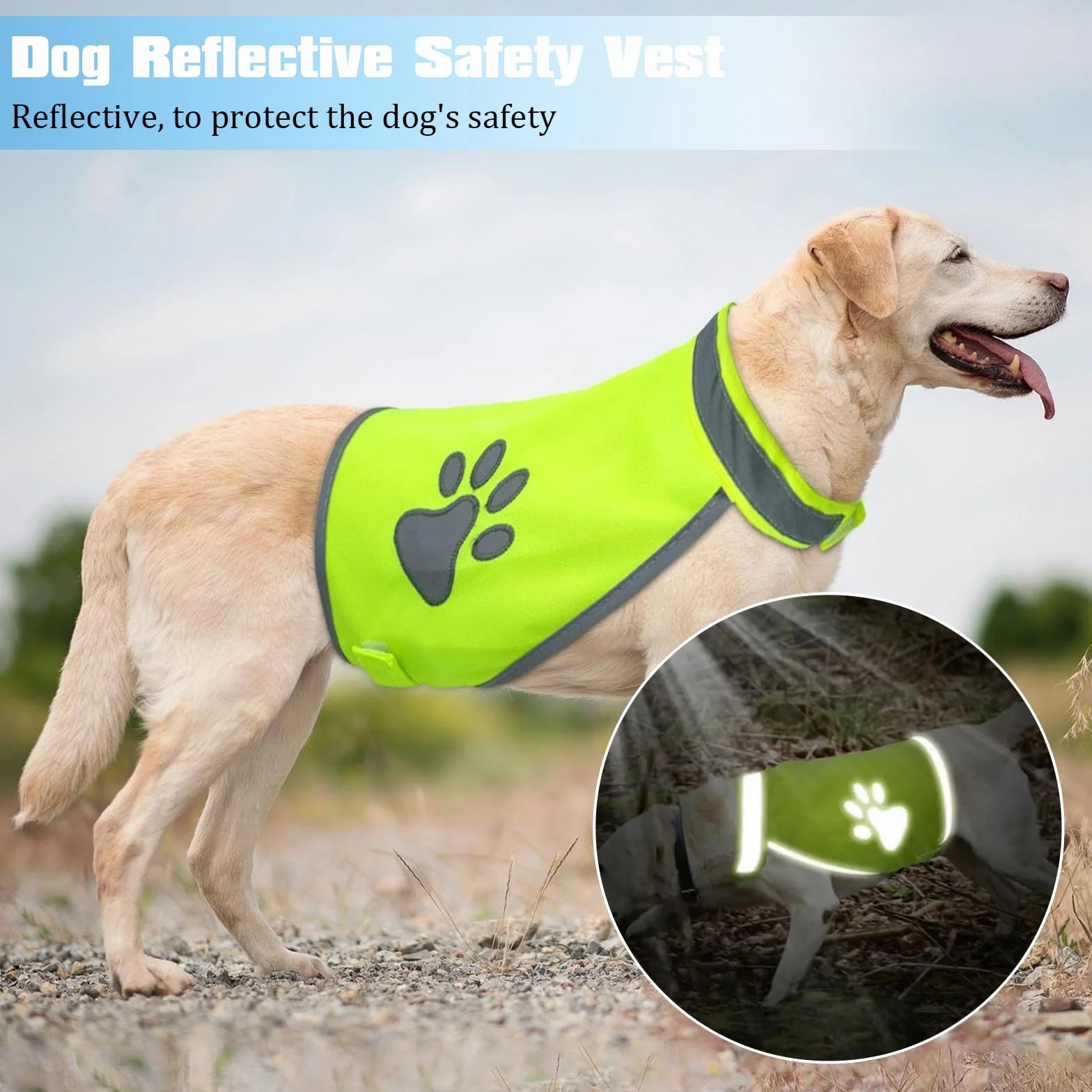 Cane Riflettente di Sicurezza Gilet, Salvagente Cane, Giacca Riflettente Ad Alta Visibilità, Gilet Alta Visibilità, Giubbotto Catarifrangente per Attività All' Aperto (Taglia M)